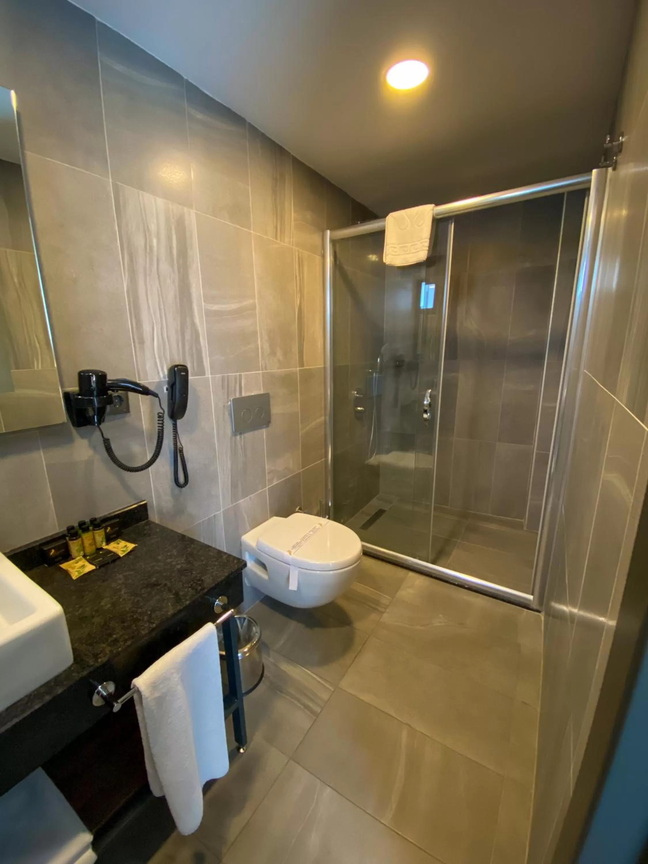 Bathroom in Falcon 1511