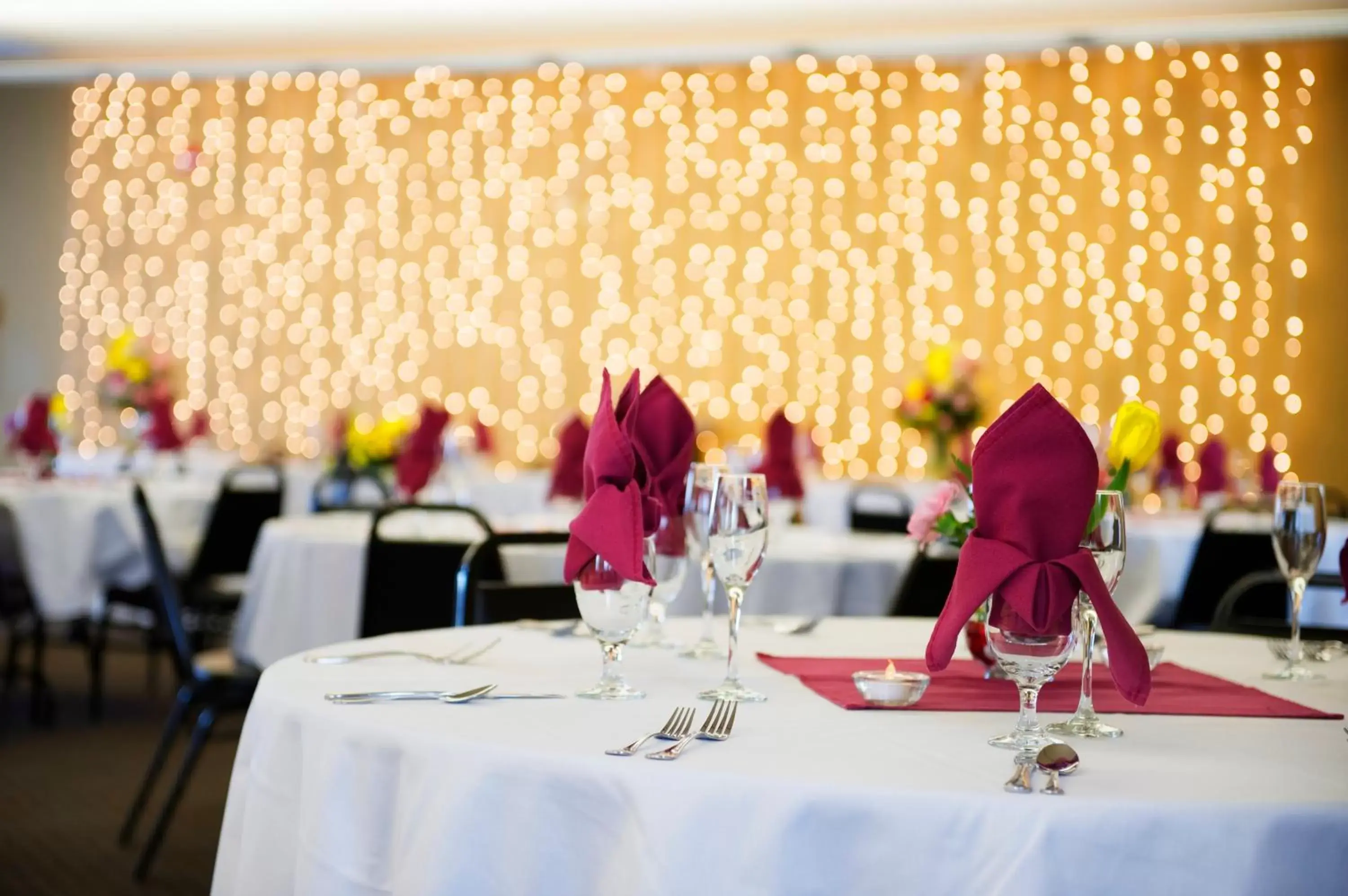 Banquet/Function facilities, Restaurant/Places to Eat in The Landing Hotel