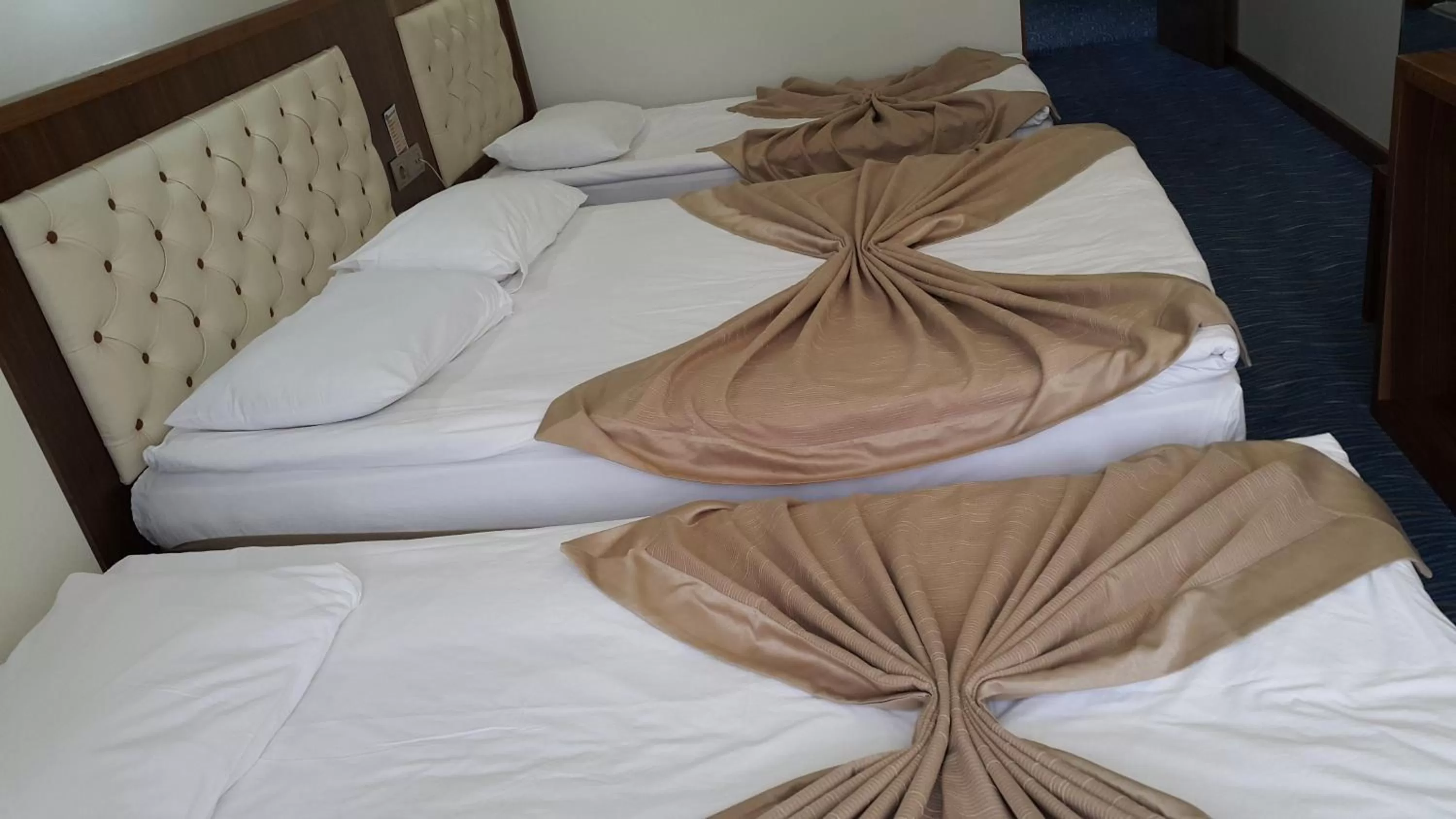 TV and multimedia, Bed in Miroglu Hotel