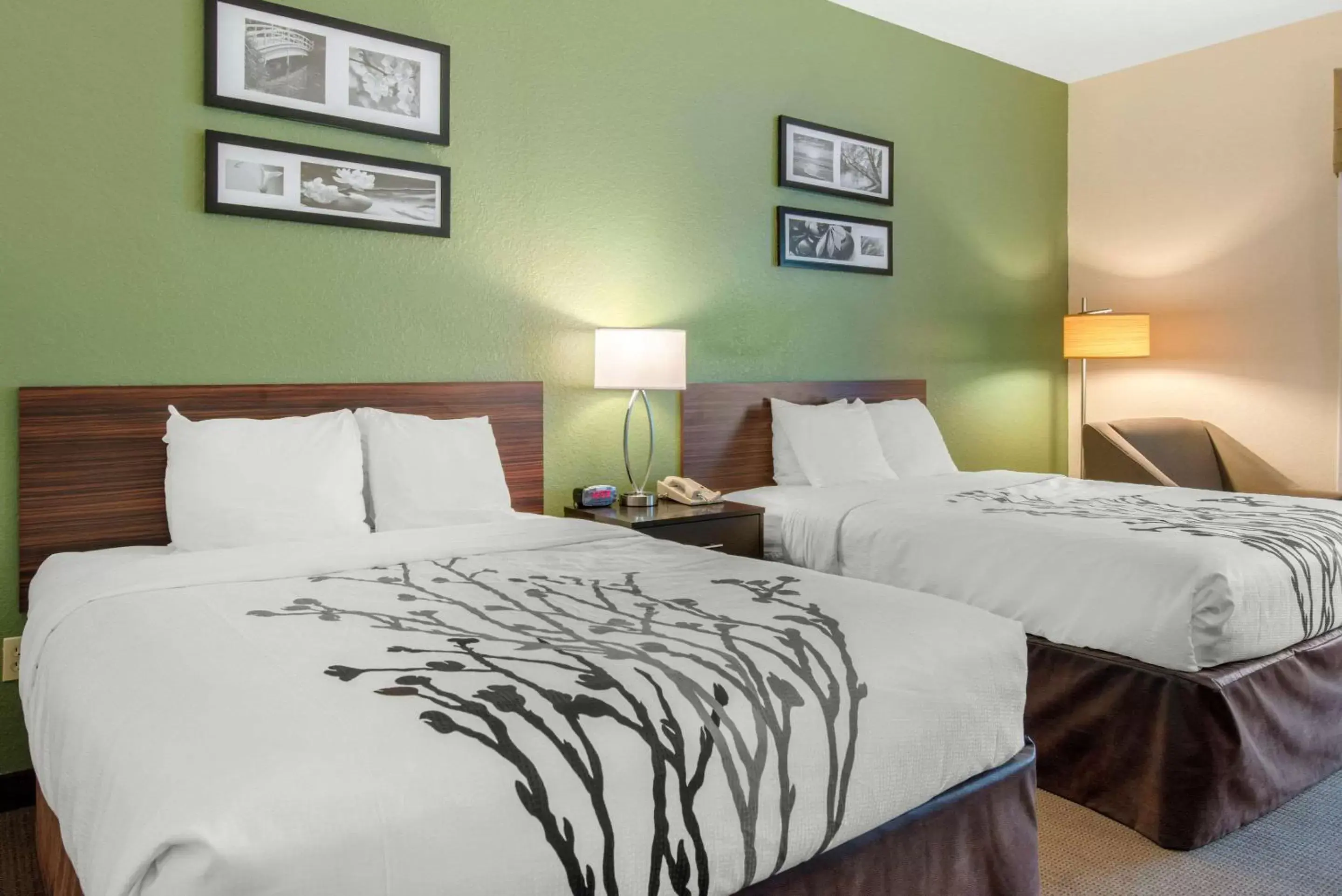 Photo of the whole room, Bed in Sleep Inn & Suites Port Charlotte-Punta Gorda