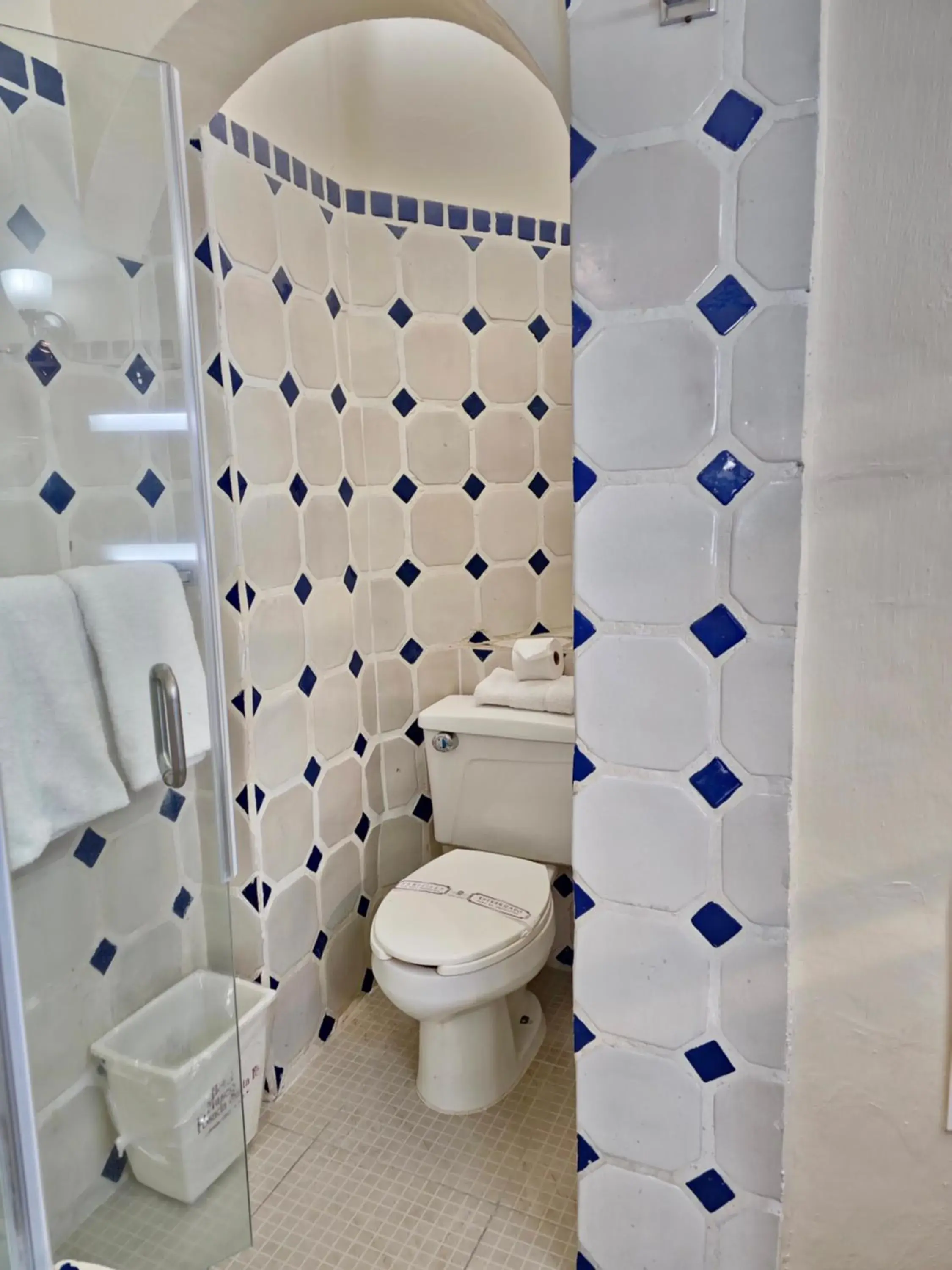 Toilet, Bathroom in Hotel Posada Santa Fe