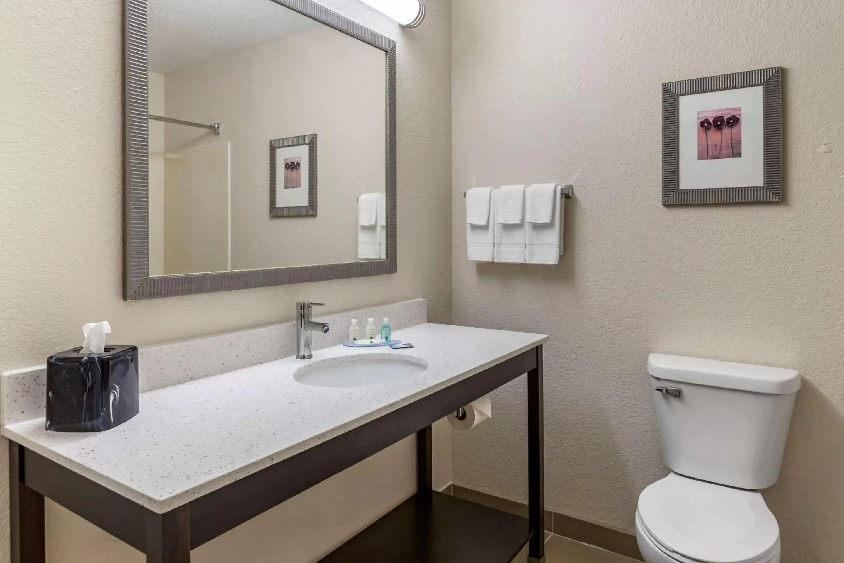 Bedroom, Bathroom in Quality Inn & Suites