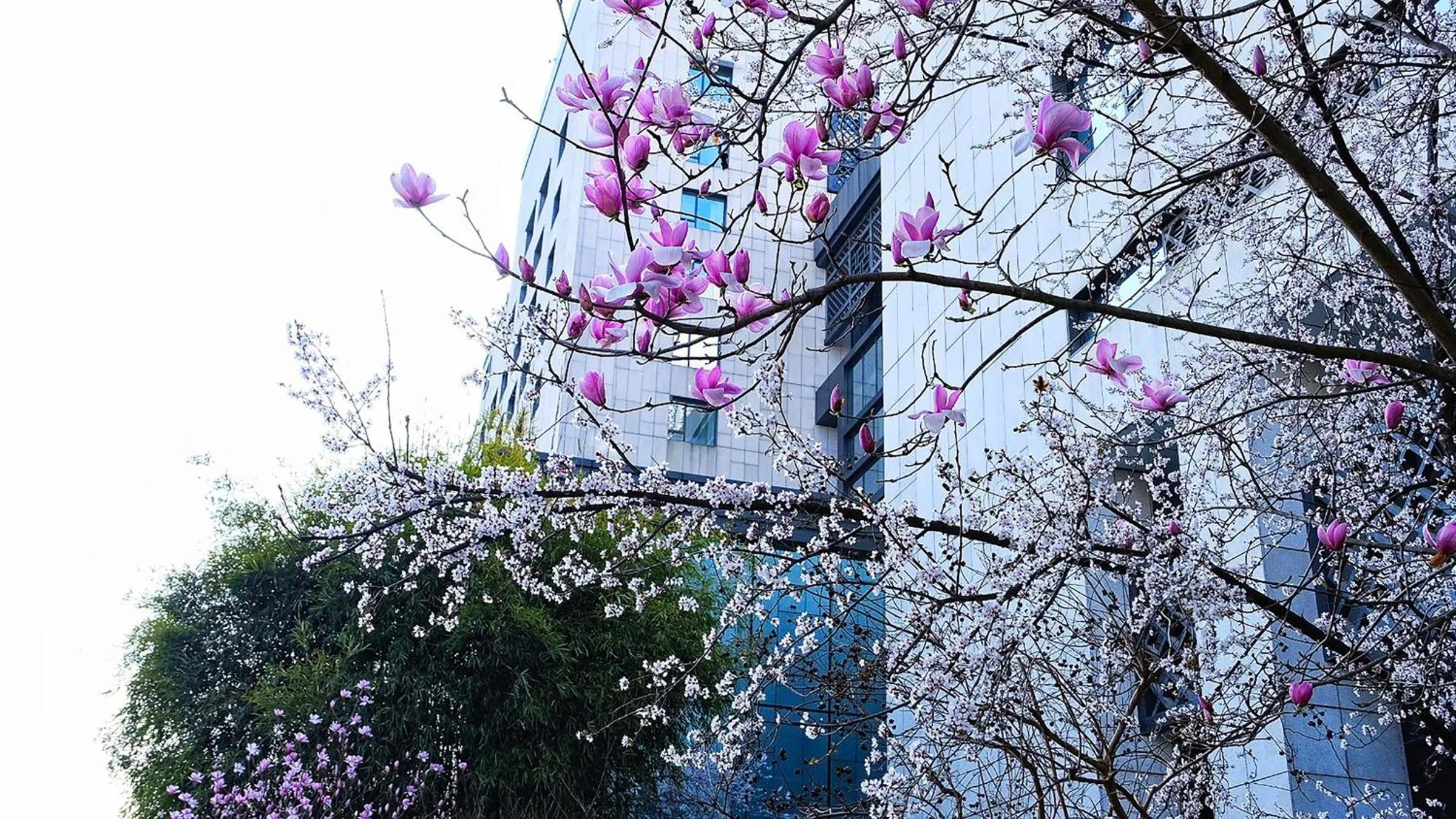 Property building in Crowne Plaza Huangshan Yucheng by IHG