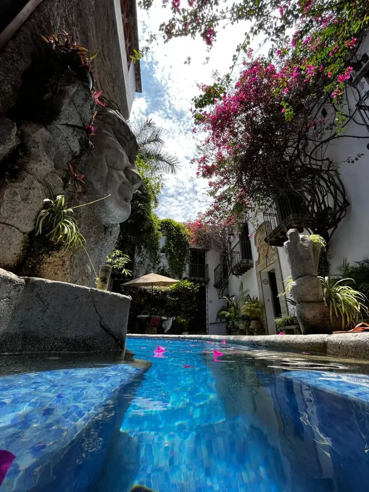 Swimming Pool in Villa Serena Centro Historico