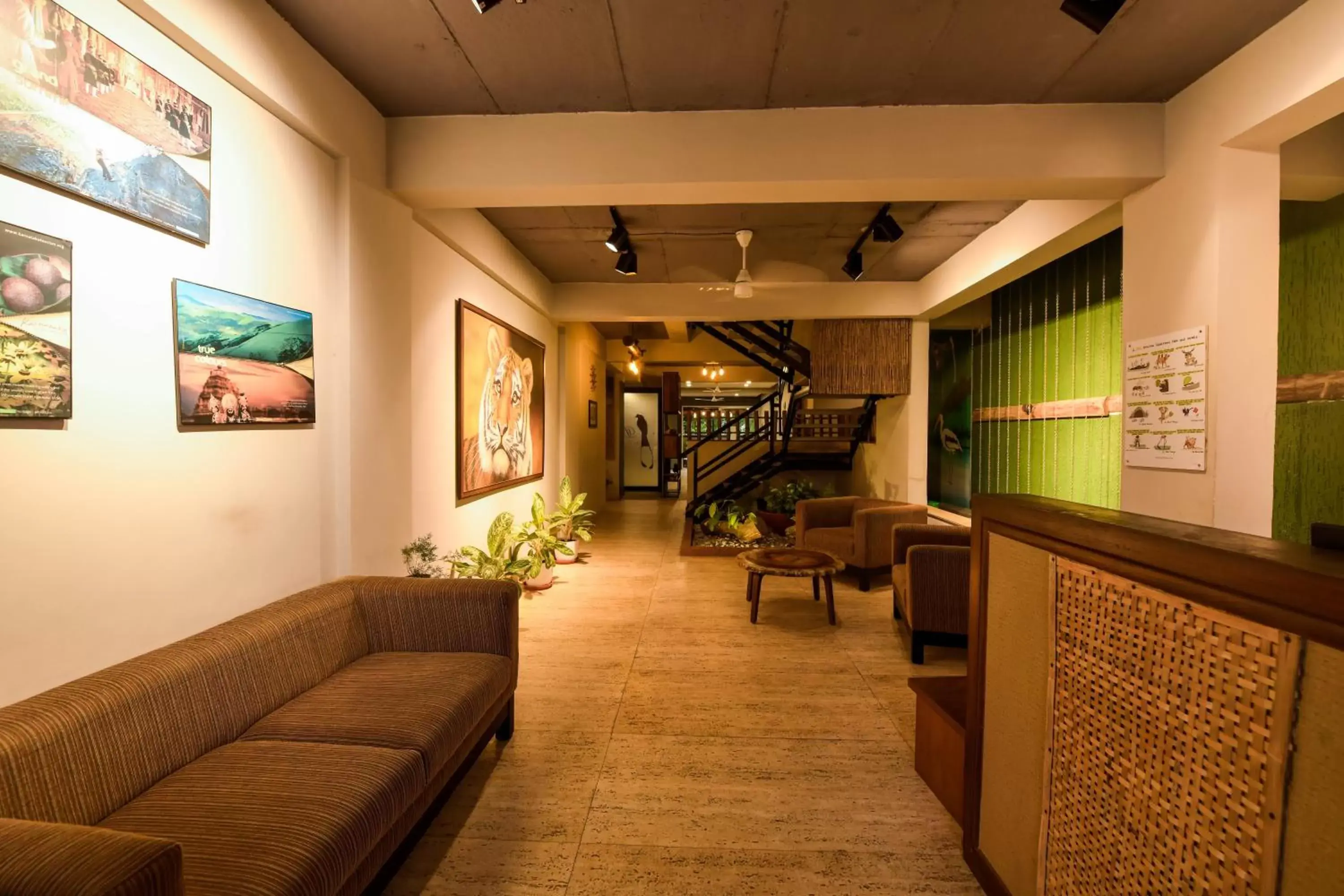 Lobby or reception in SAFARI QUEST Lobby or reception in SAFARI QUEST