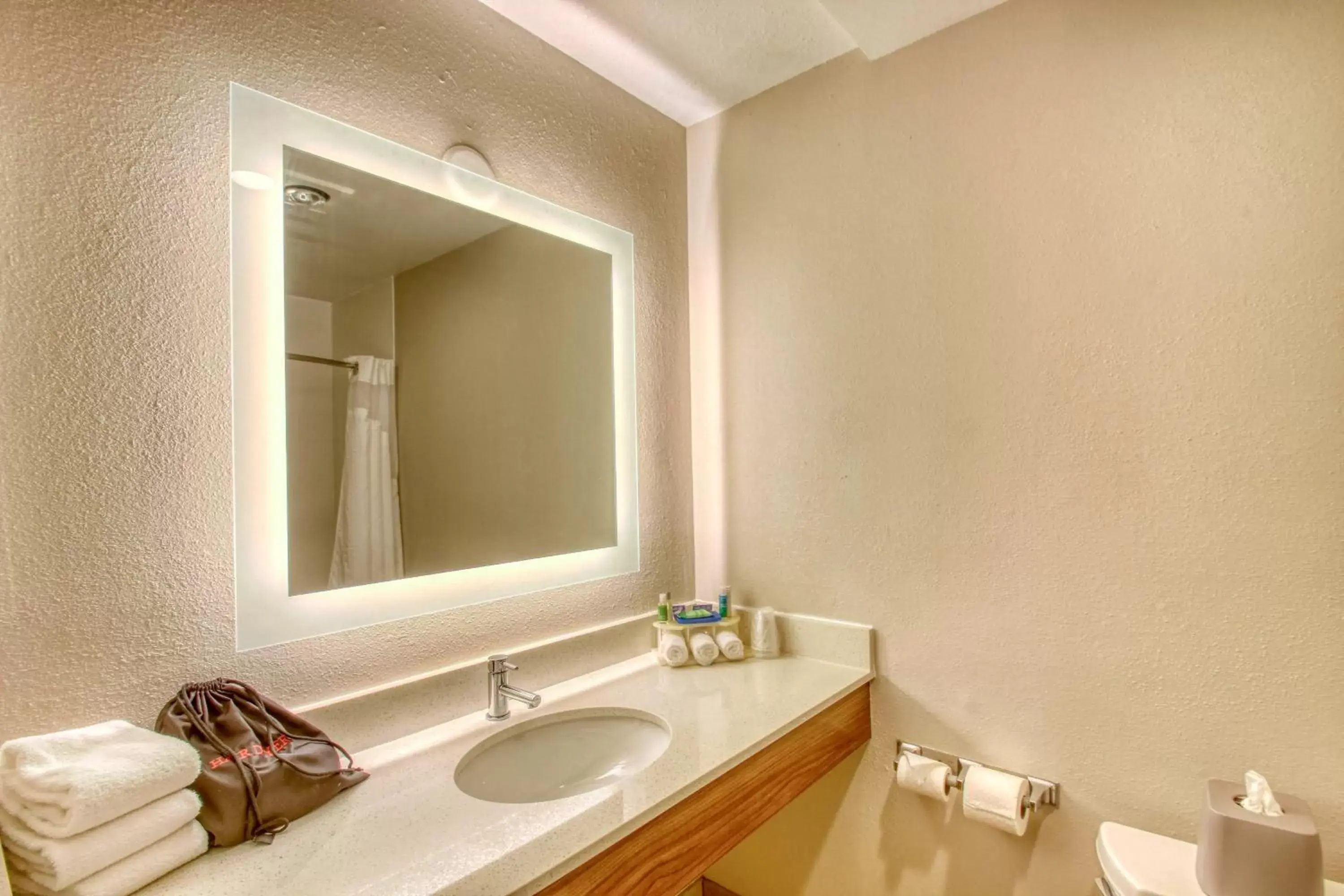 Bathroom in Holiday Inn Express Hotel & Suites Oshkosh - State Route 41, an IHG Hotel
