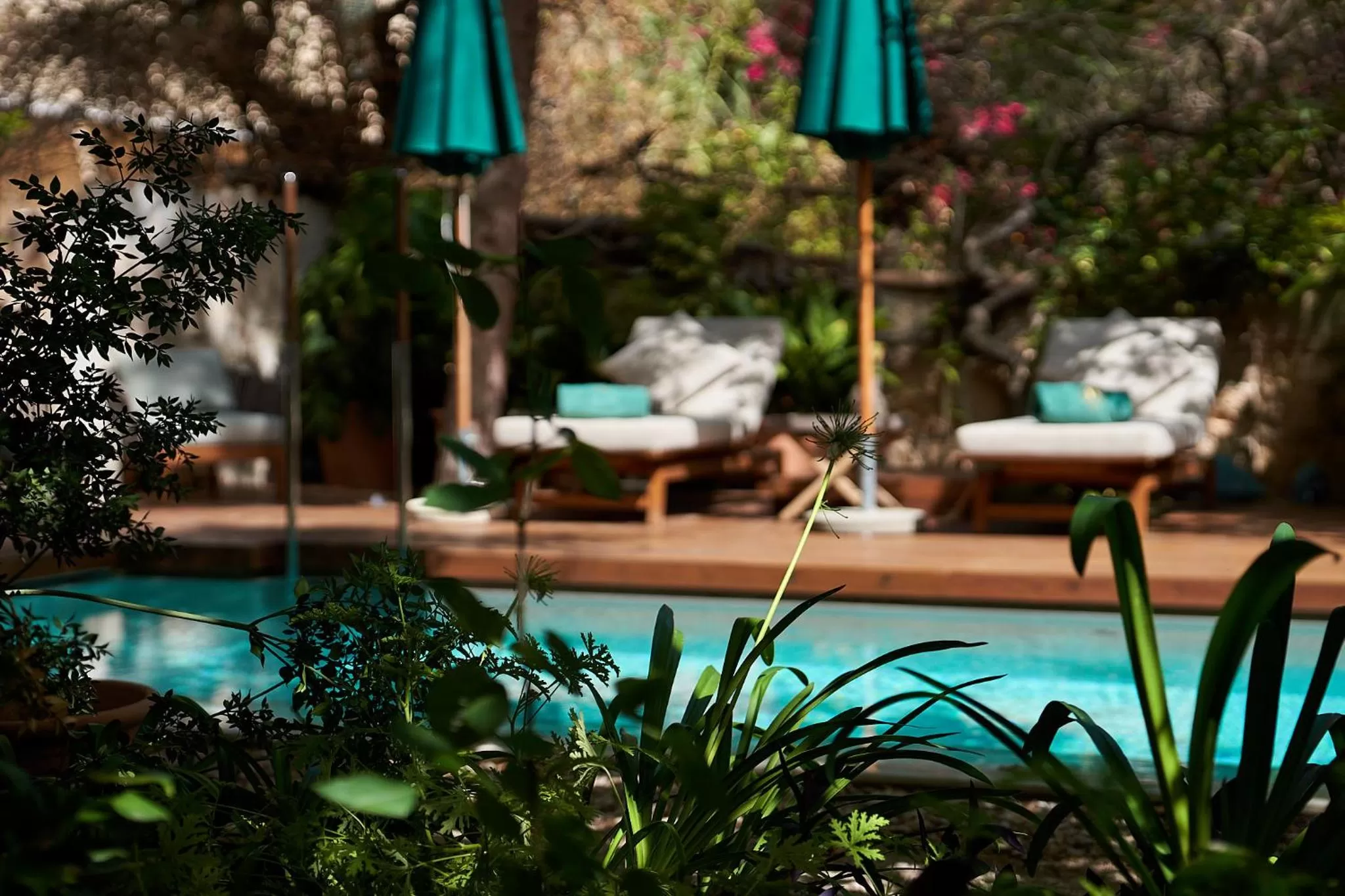 Pool view in Can Bordoy Grand House Hotel GL Preferred Hotel