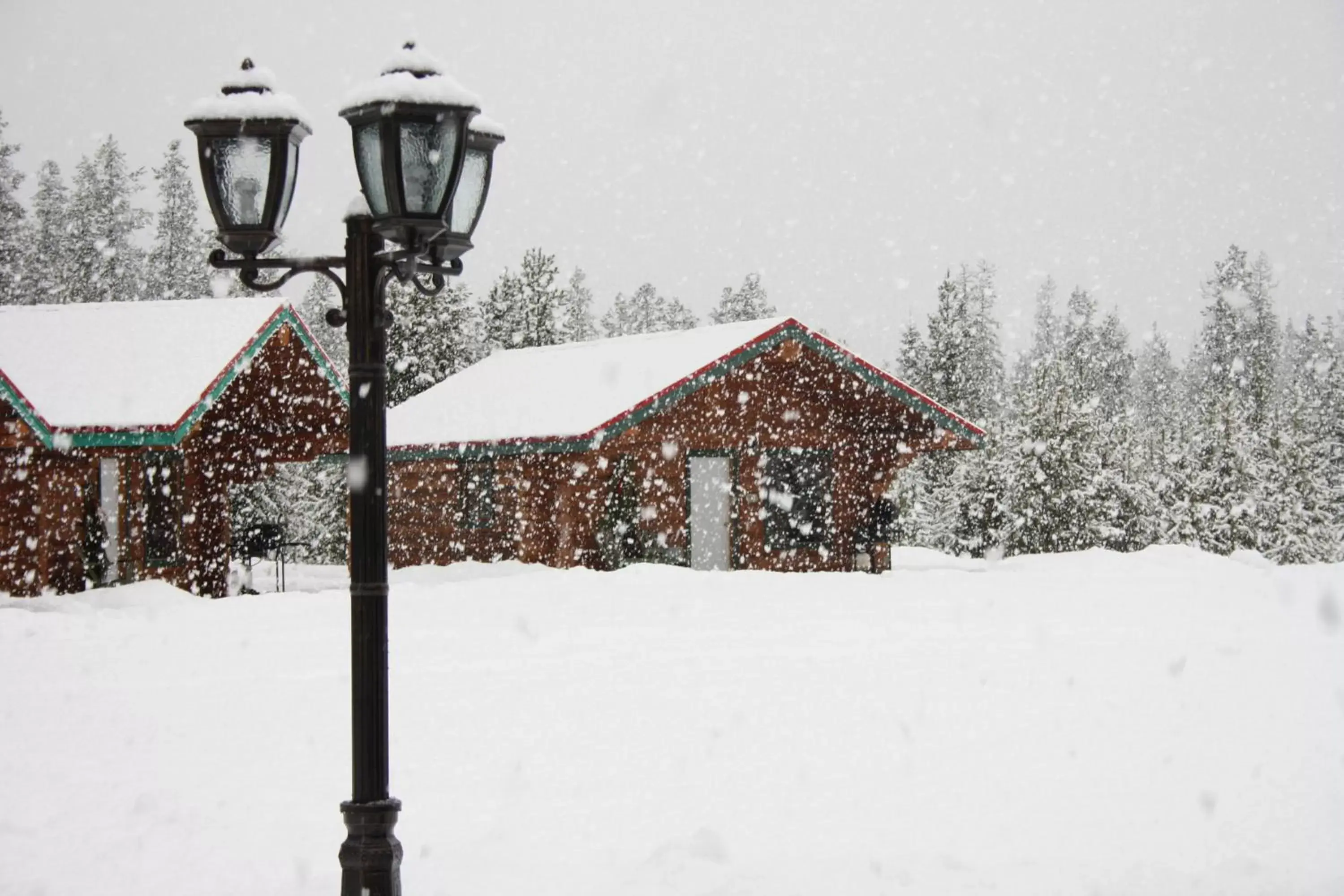 Winter in Twin Peaks Resort