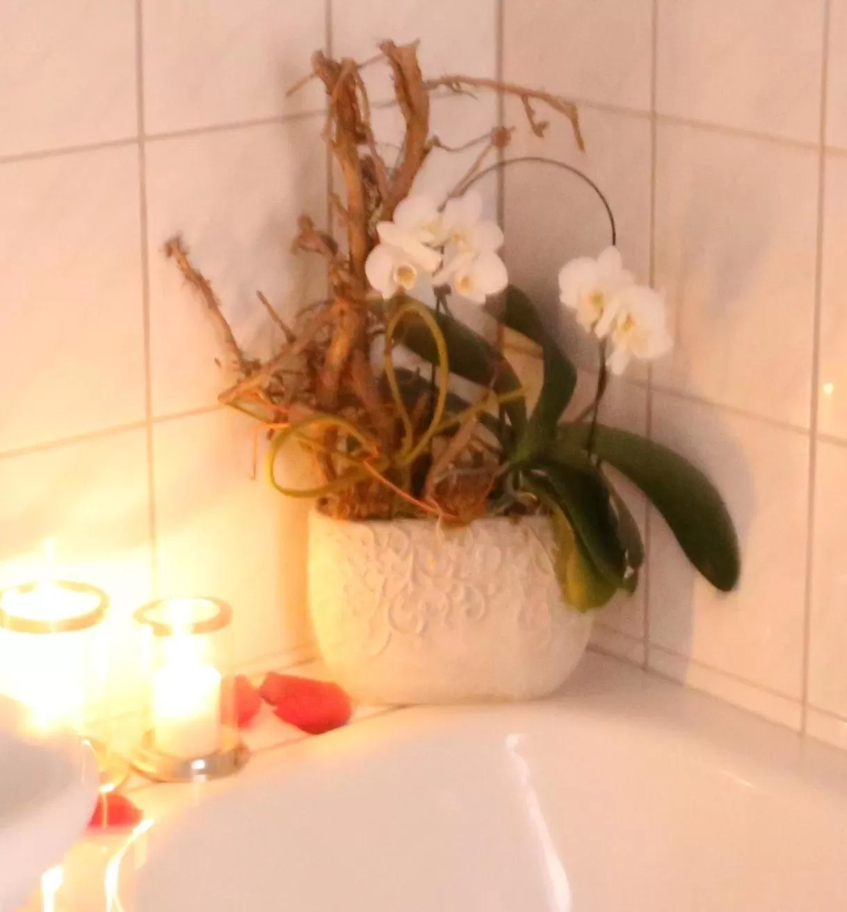 Decorative detail in In Piazza