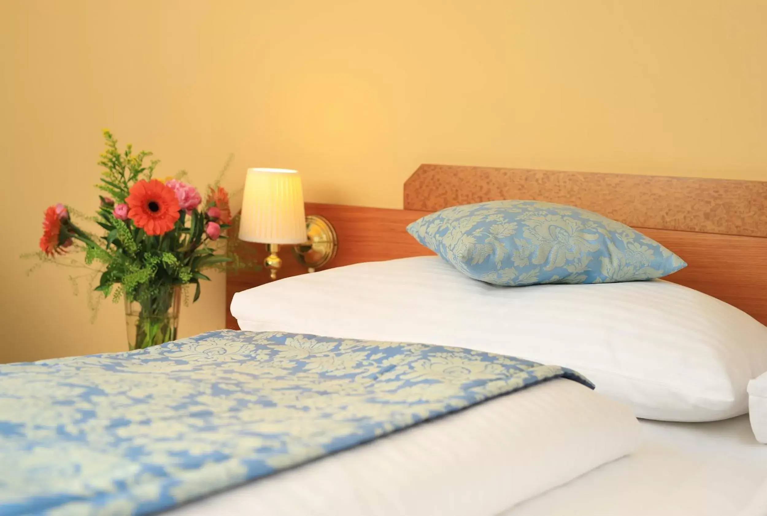 Standard Double Room in Hotel Bellevue Wien Standard Double Room in Hotel Bellevue Wien