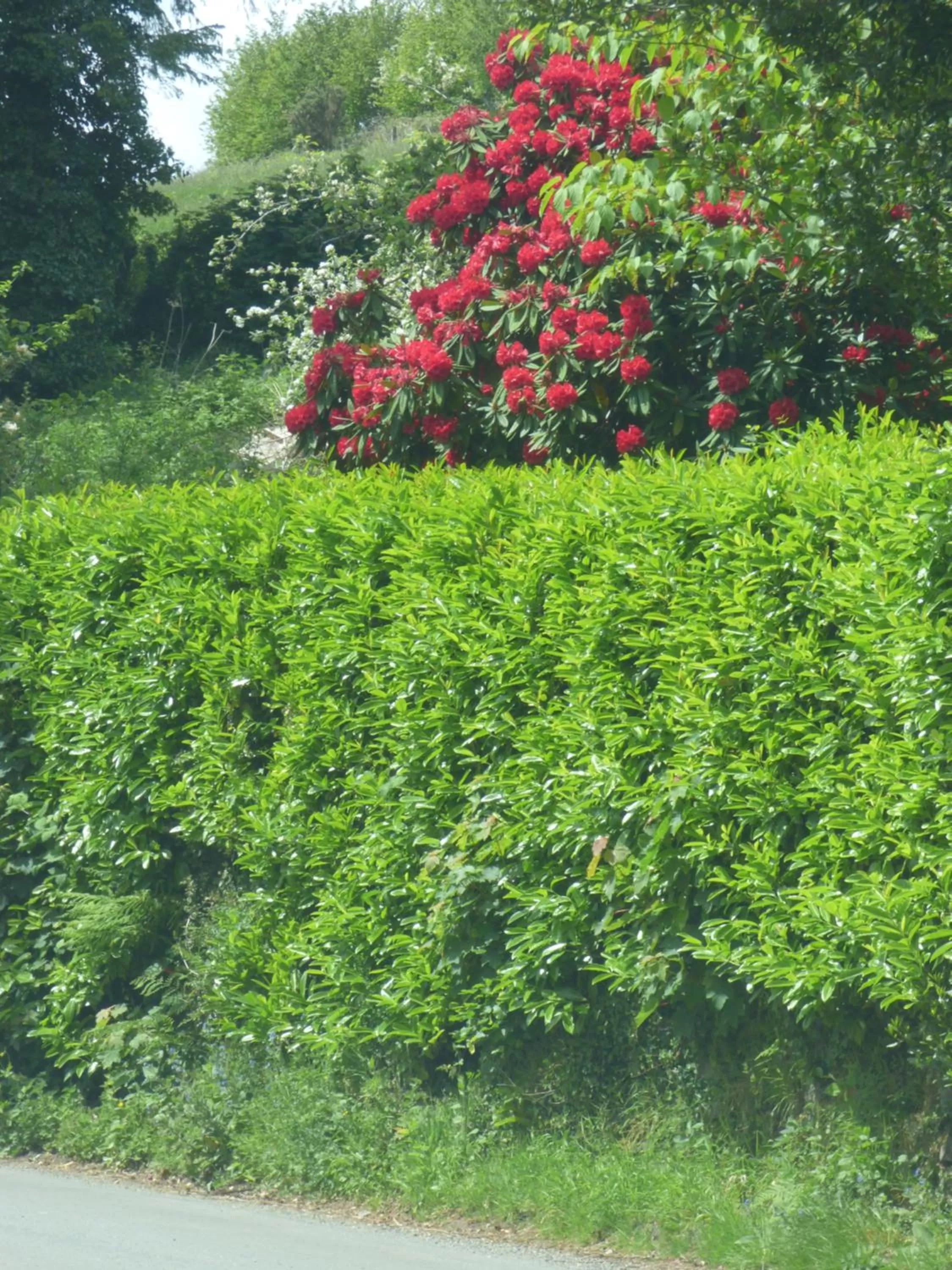 Location in Park View R & R - Adult Only - Self-Catering - Free Parking - EV Point