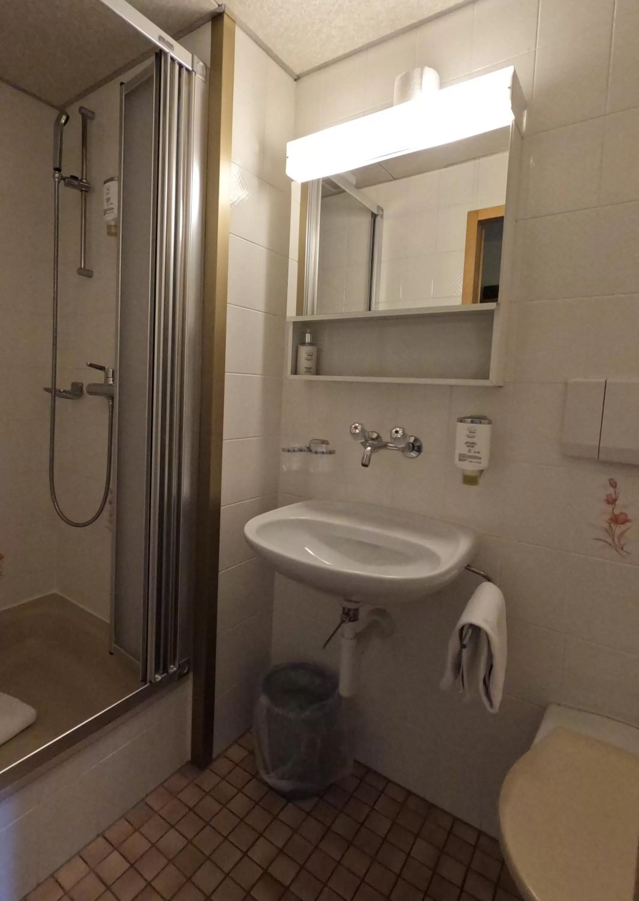 Shower in Alpenrose Hotel and Gardens