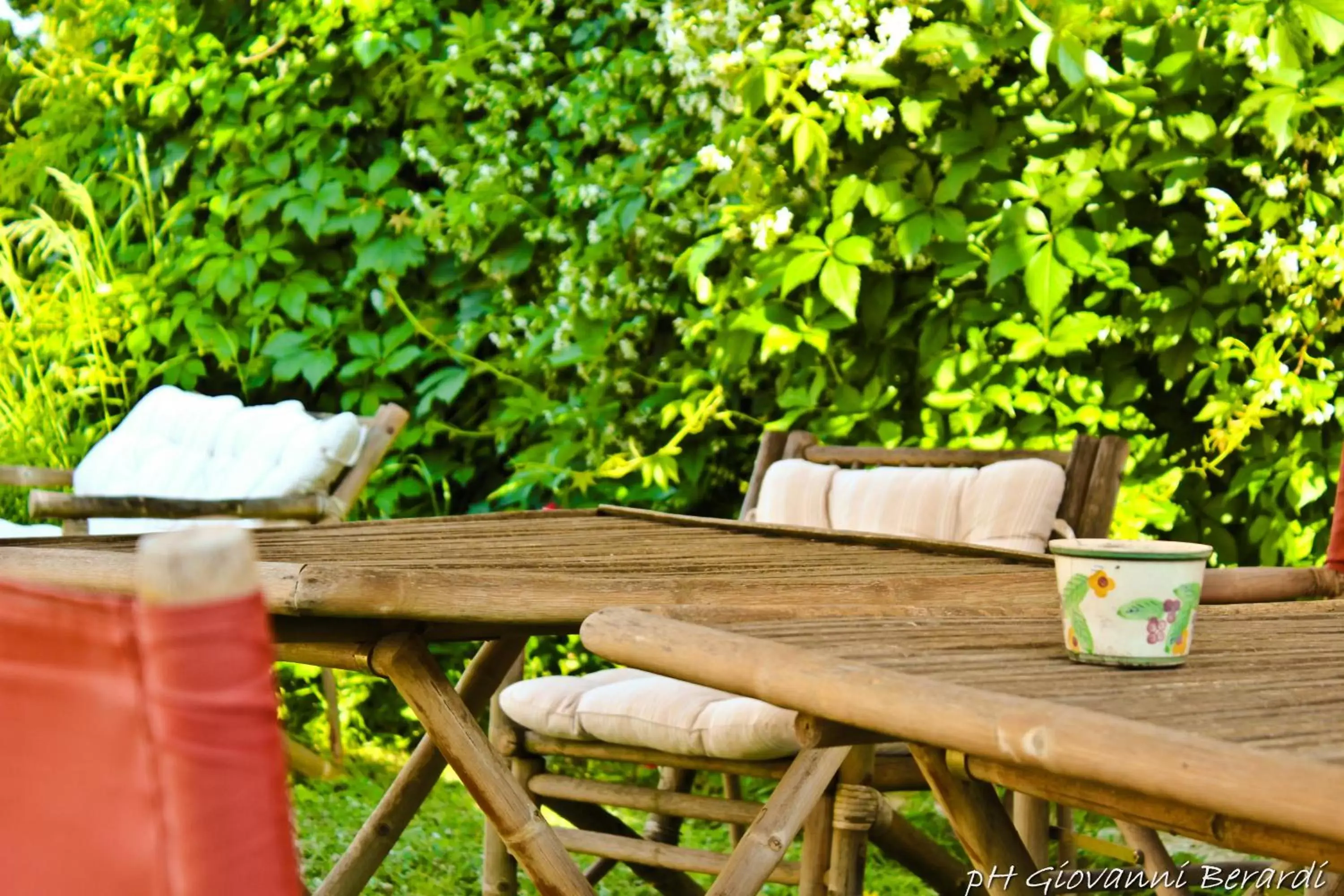 Patio/Outdoor Area in Albarosa