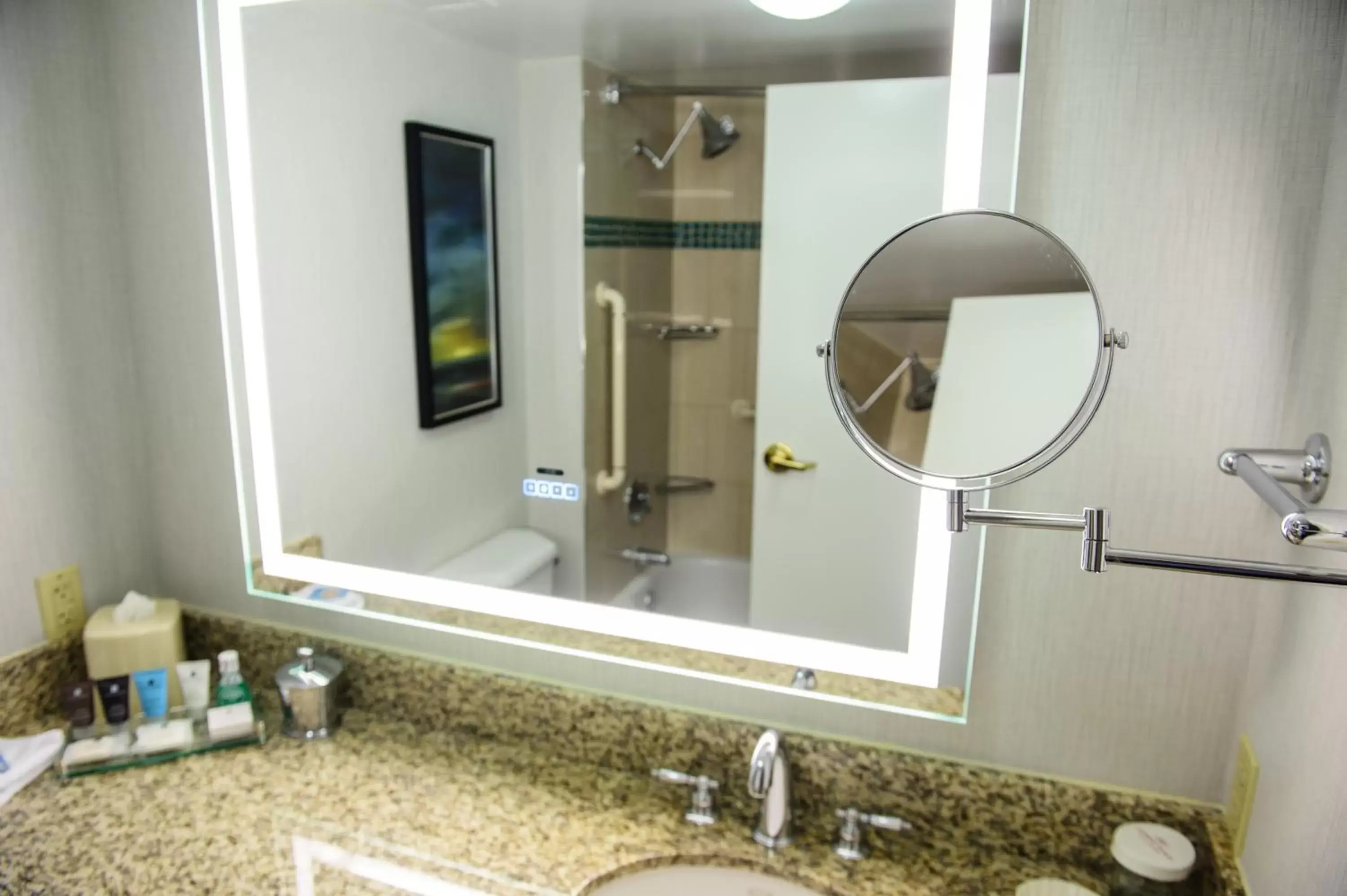 Shower, Bathroom in Crowne Plaza Dulles Airport, an IHG Hotel