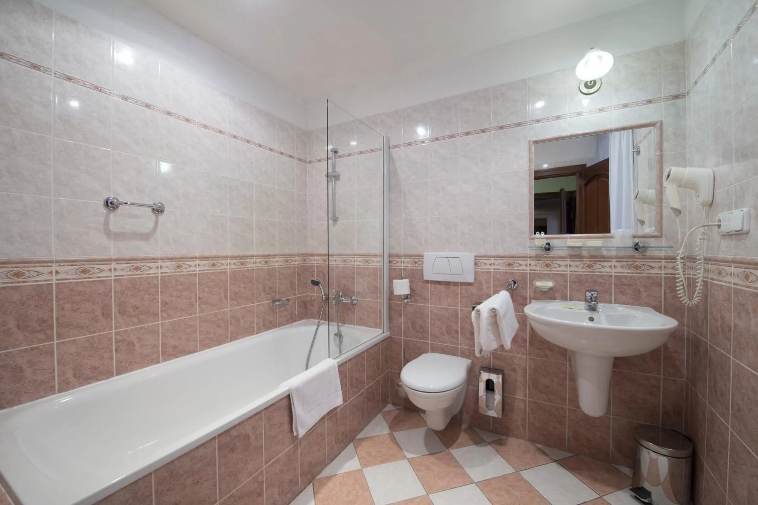 Toilet in Hotel Cerny Slon