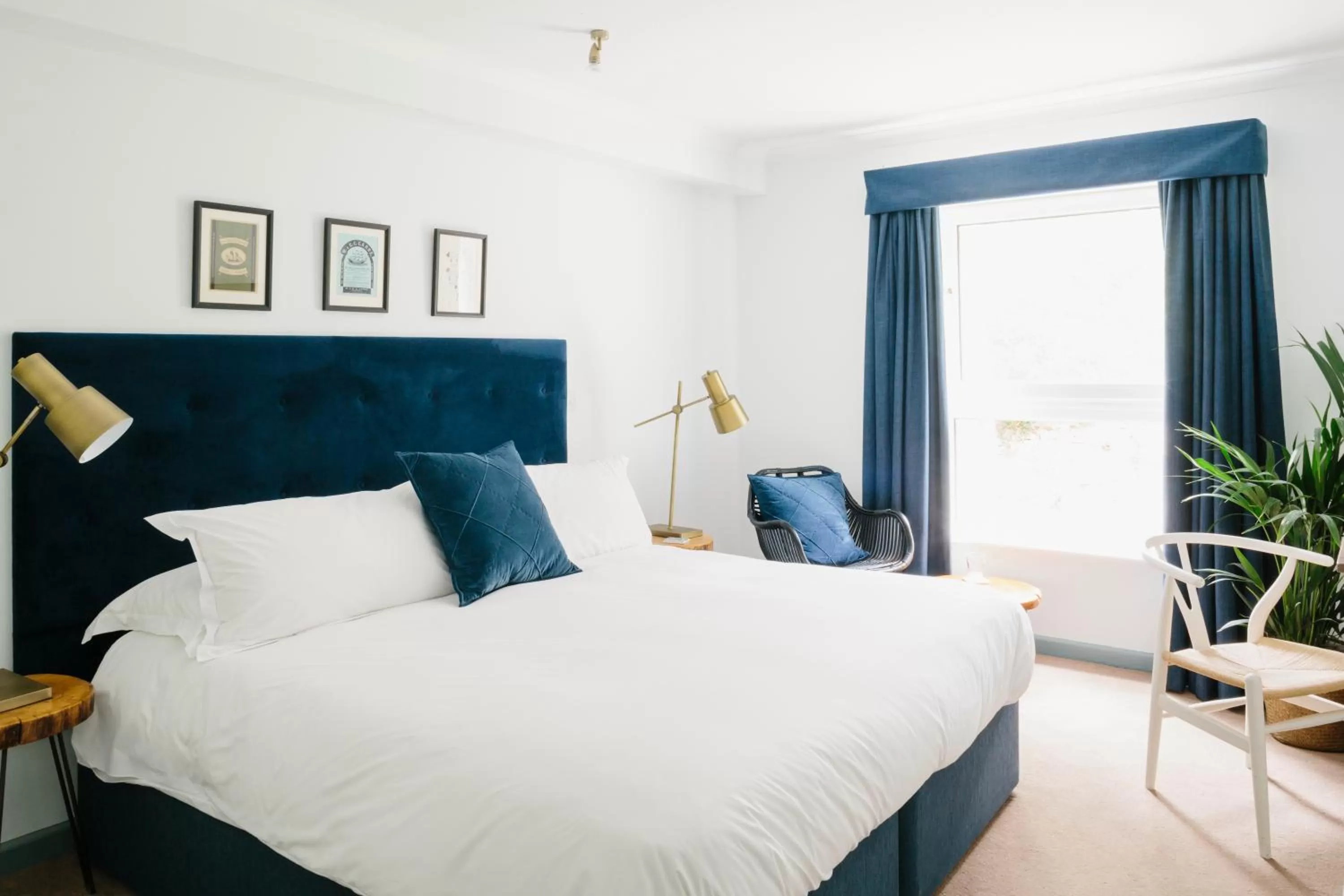 Pets in Merchants Manor Spa