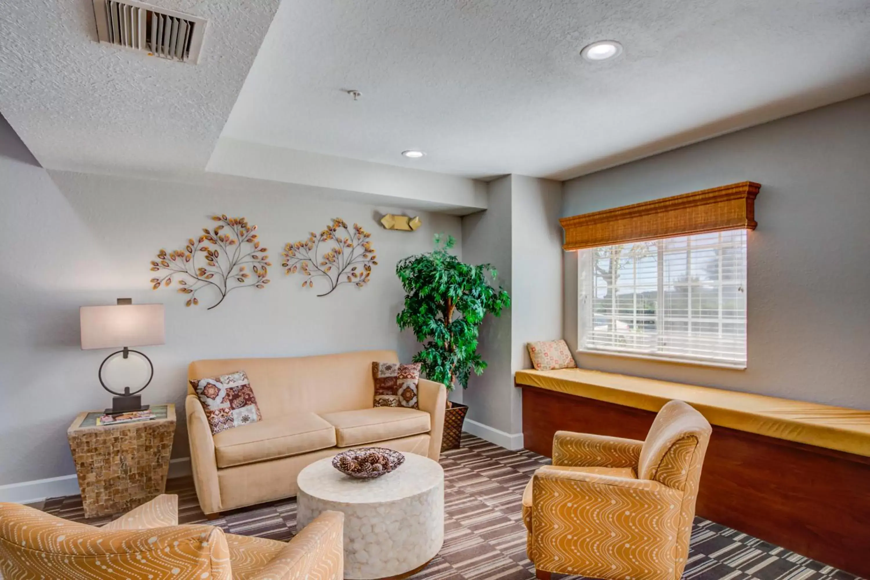 Lobby or reception in Microtel Inn and Suites - Zephyrhills