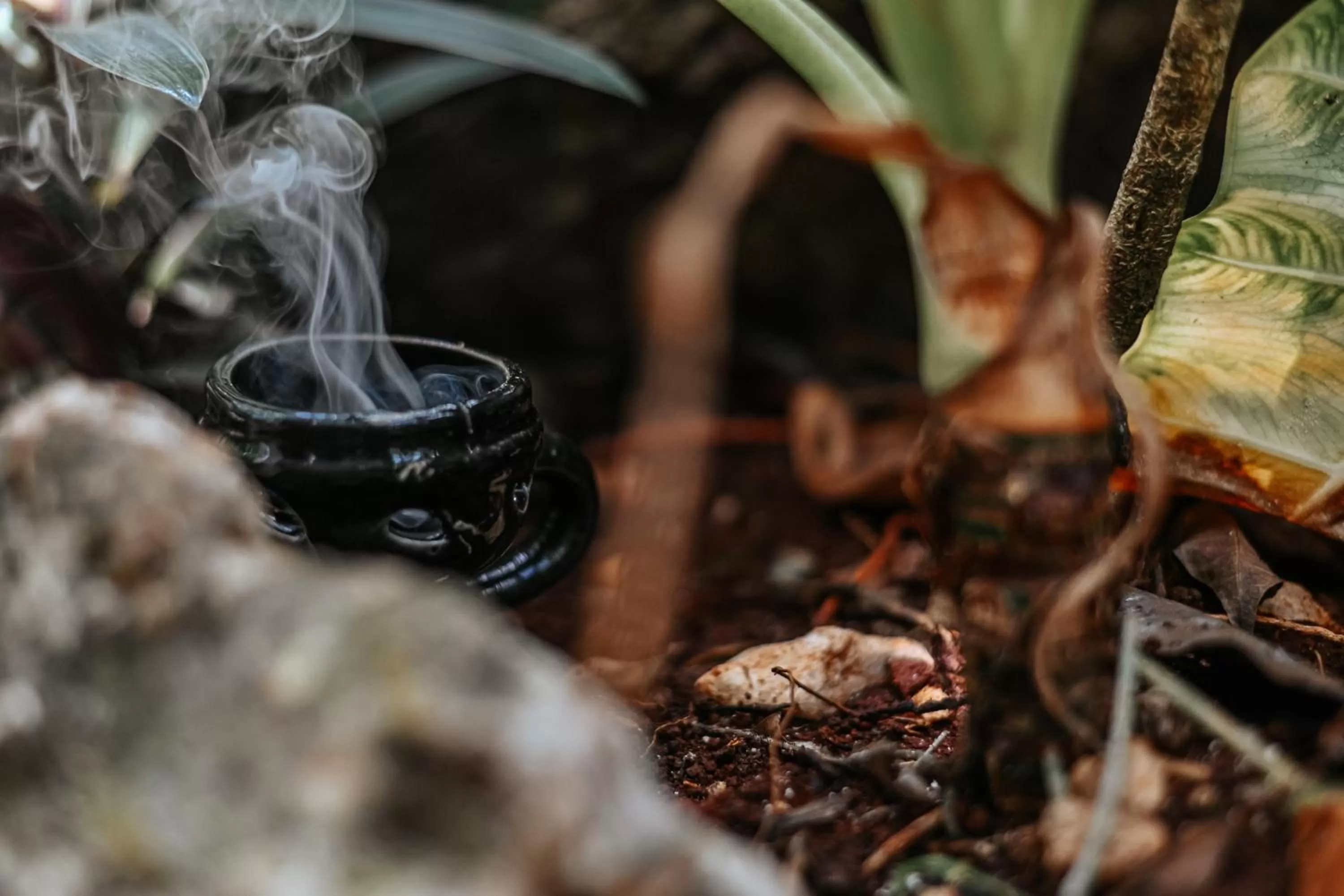 Garden in Lunita Jungle Experience