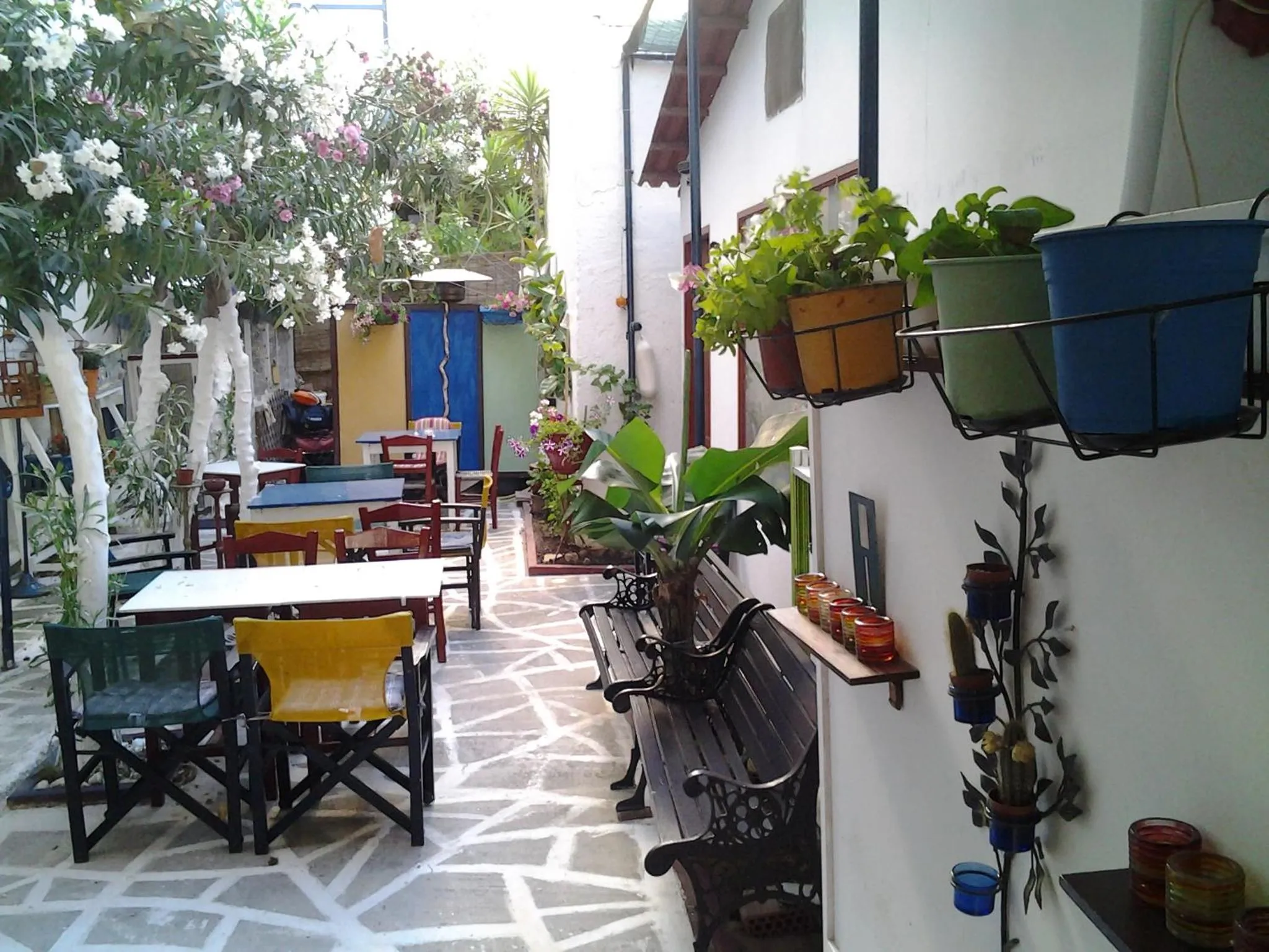 Garden in Danaos Hotel