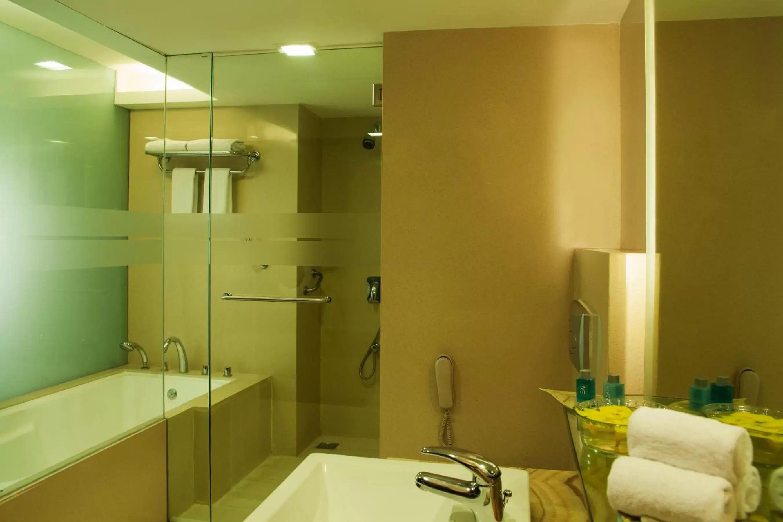 Toilet, Bathroom in Radisson Blu Hotel Pune Kharadi