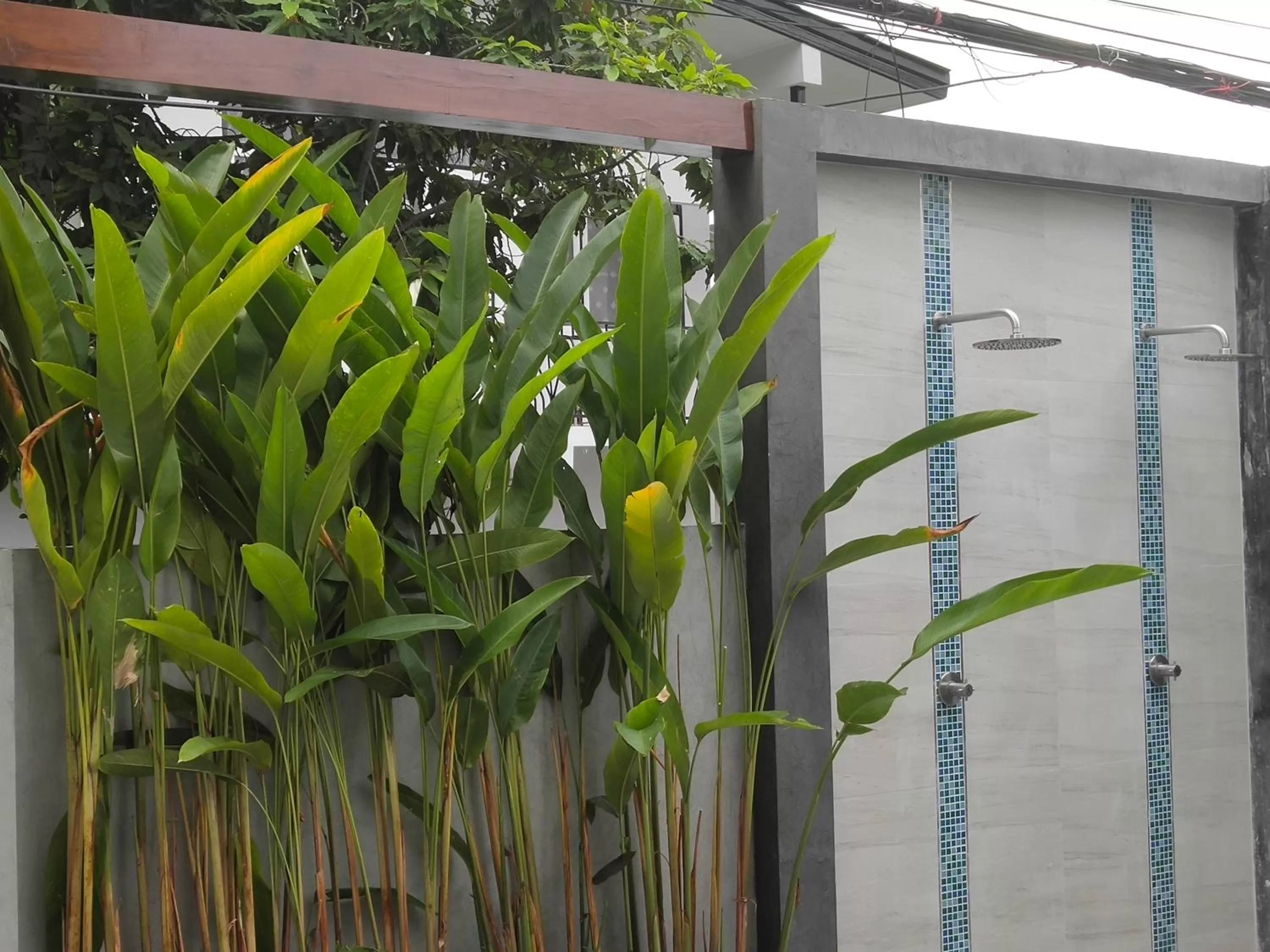 Swimming pool in Hotel De Wualai
