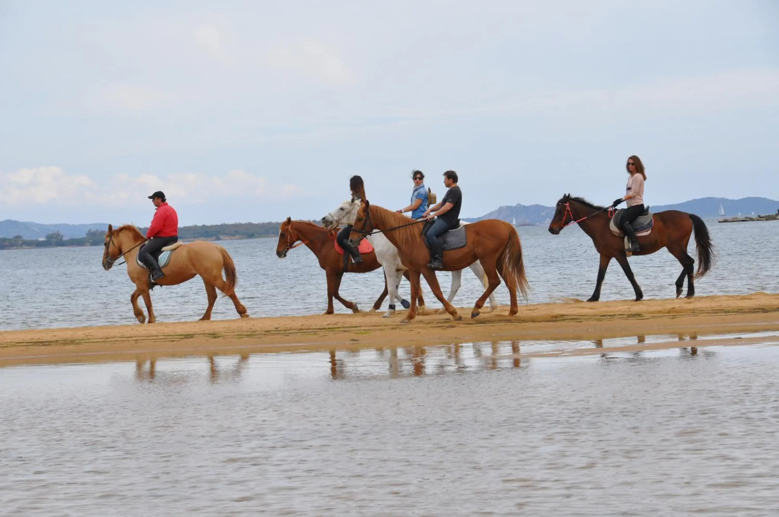 Sports, Horseback Riding in Hotel Airone