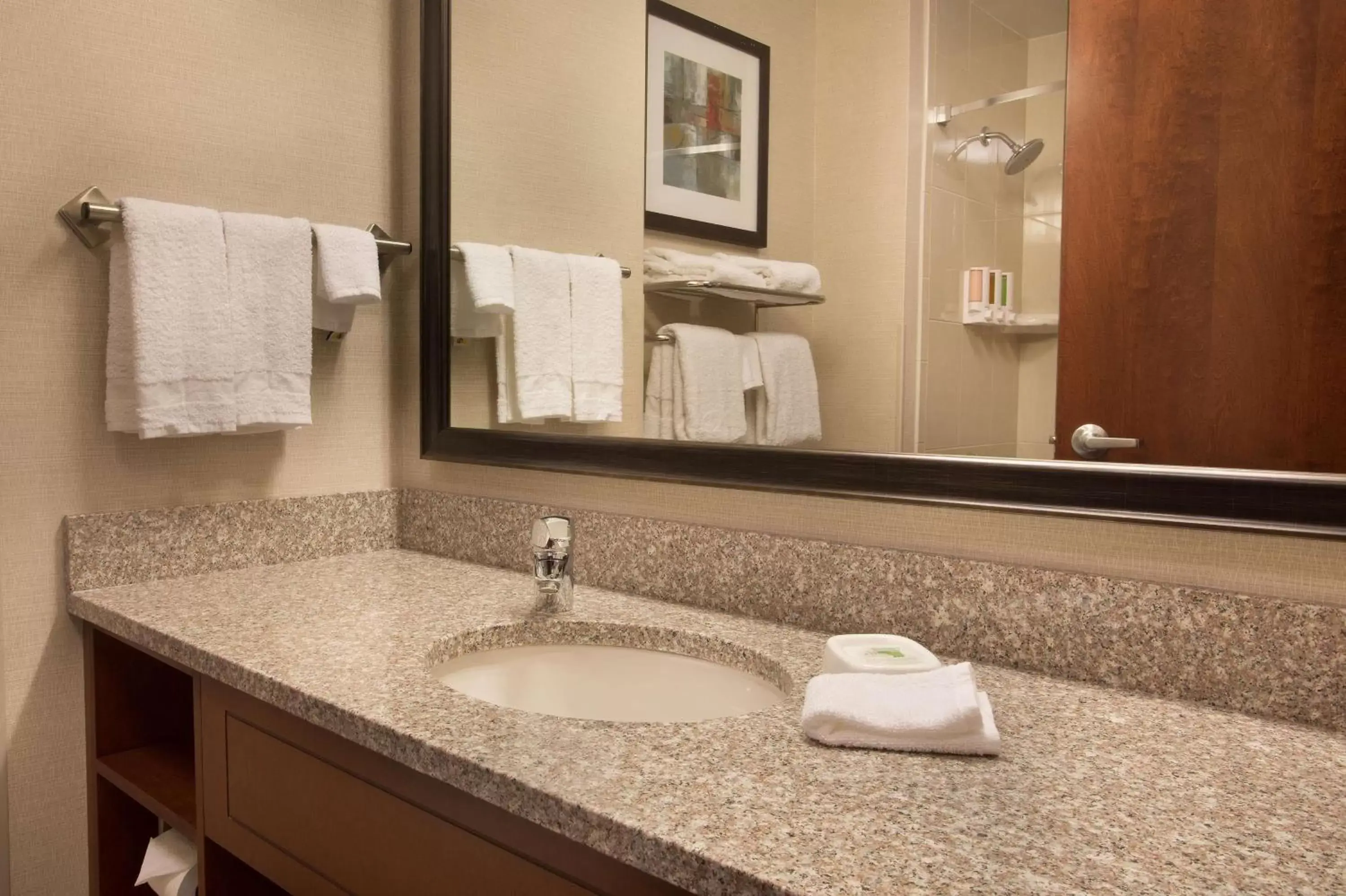 Bathroom in Drury Inn and Suites Denver Central Park