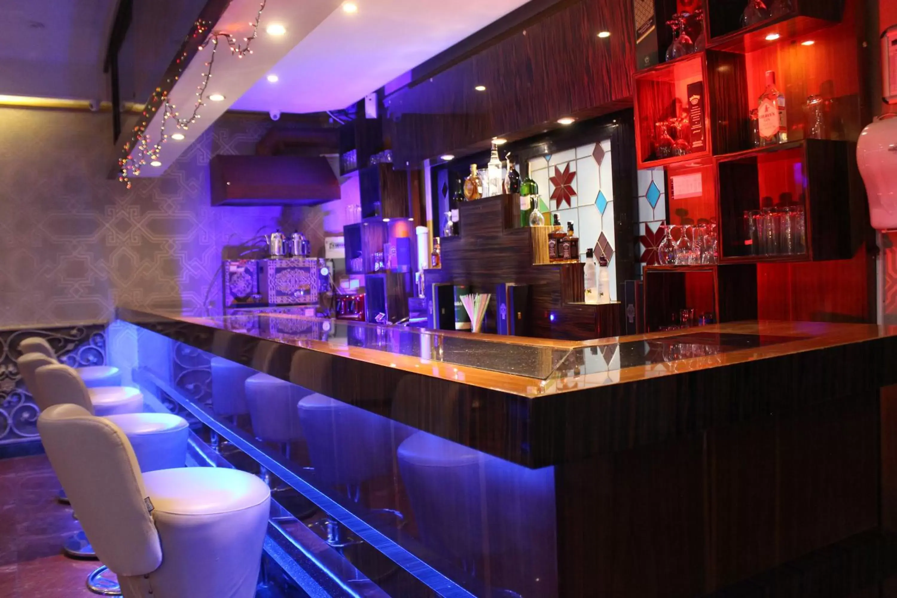 Staff, Lounge/Bar in Hermanos Hotel