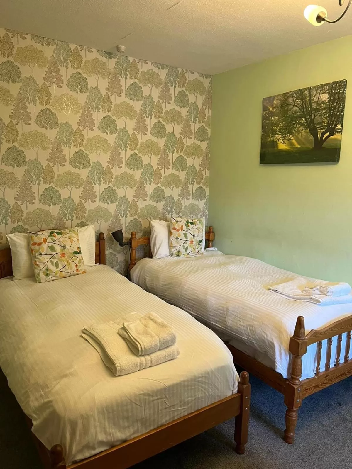 Twin Room with Shower in The Crown Hotel