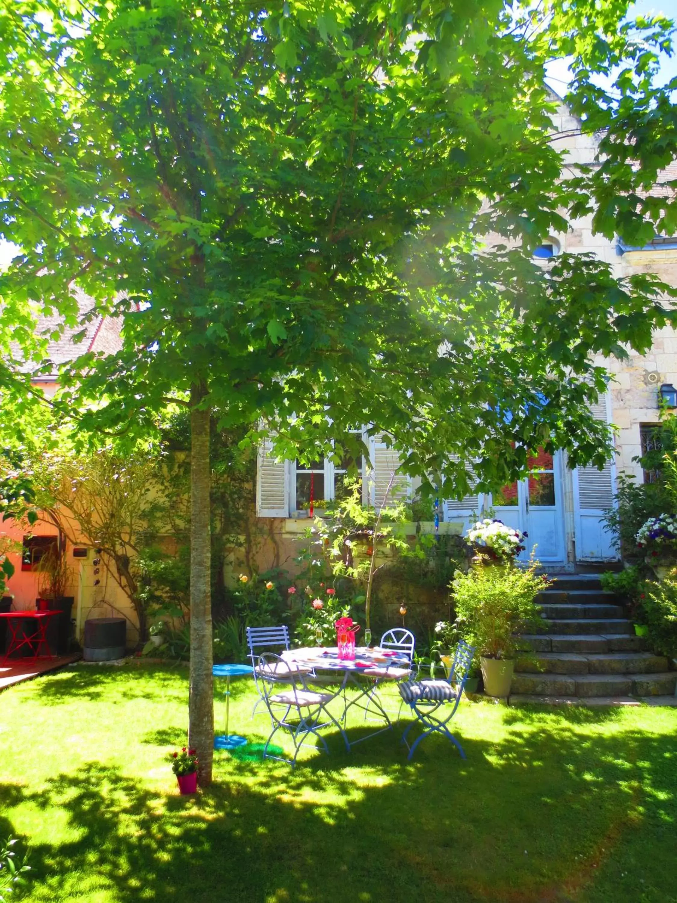 Garden in La Fenice Beauval