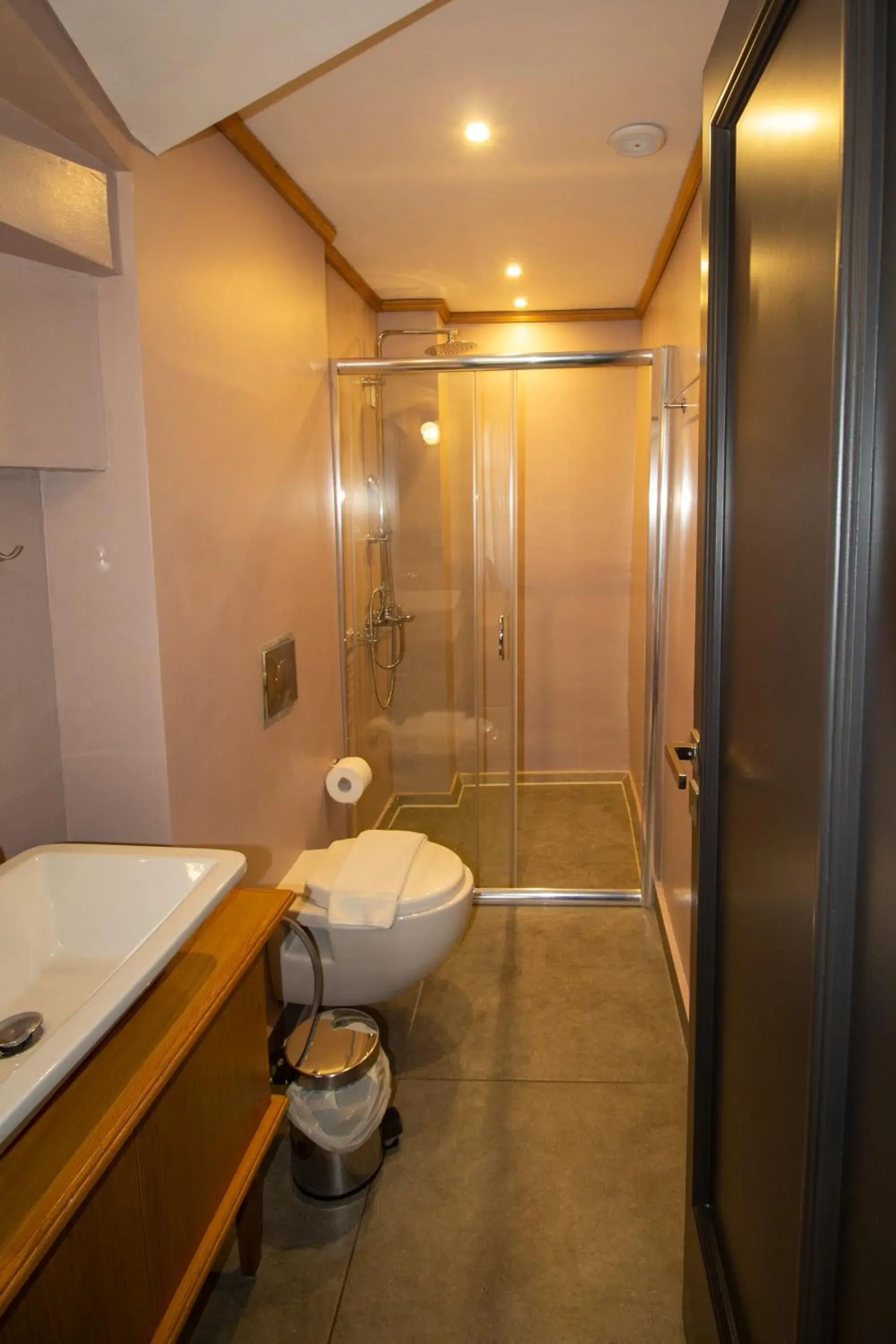 Toilet, Bathroom in Elia Palatino Hotel