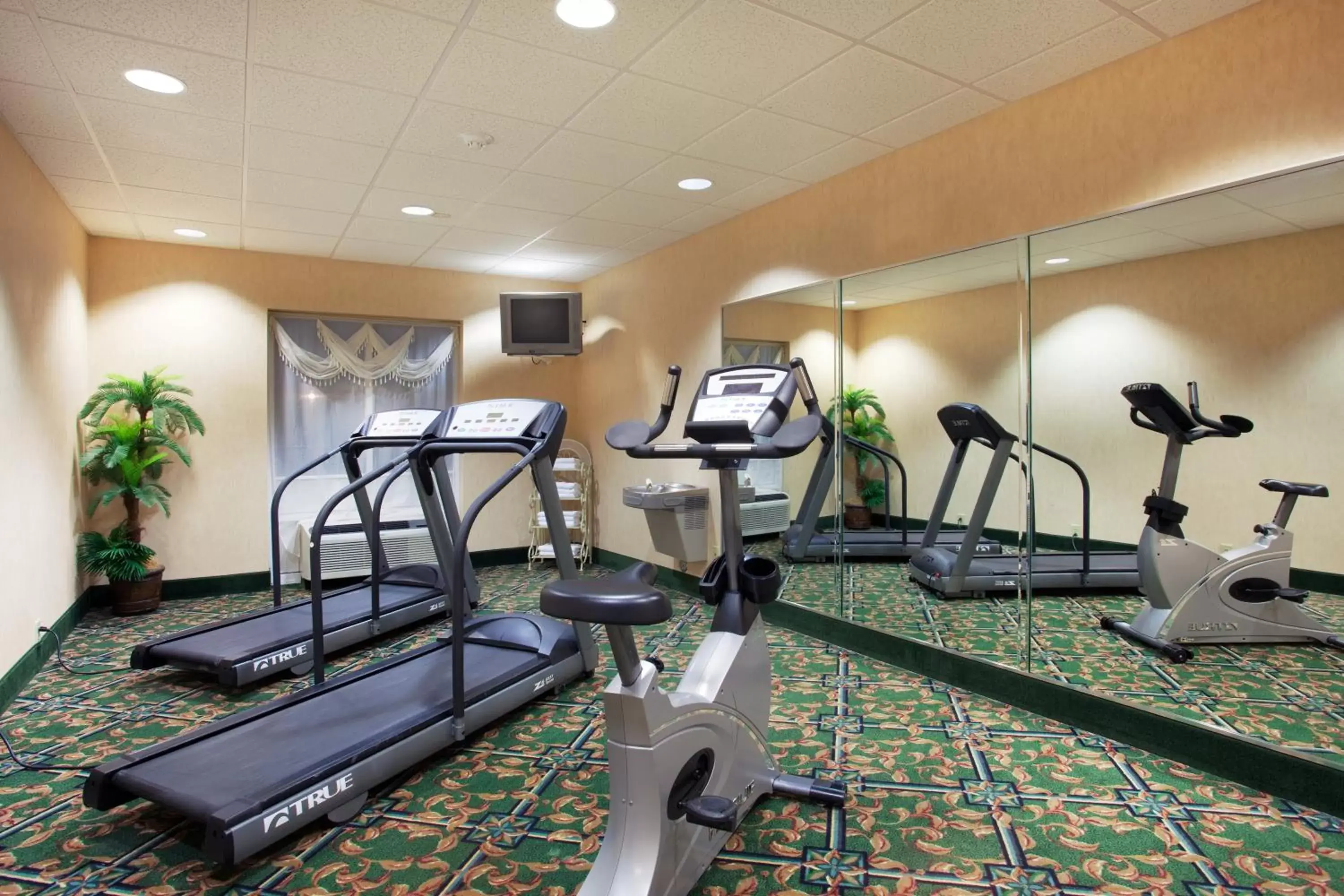 Spa and wellness centre/facilities, Fitness Center/Facilities in Holiday Inn Express Hotel & Suites Lenoir City Knoxville Area, an IHG Hotel