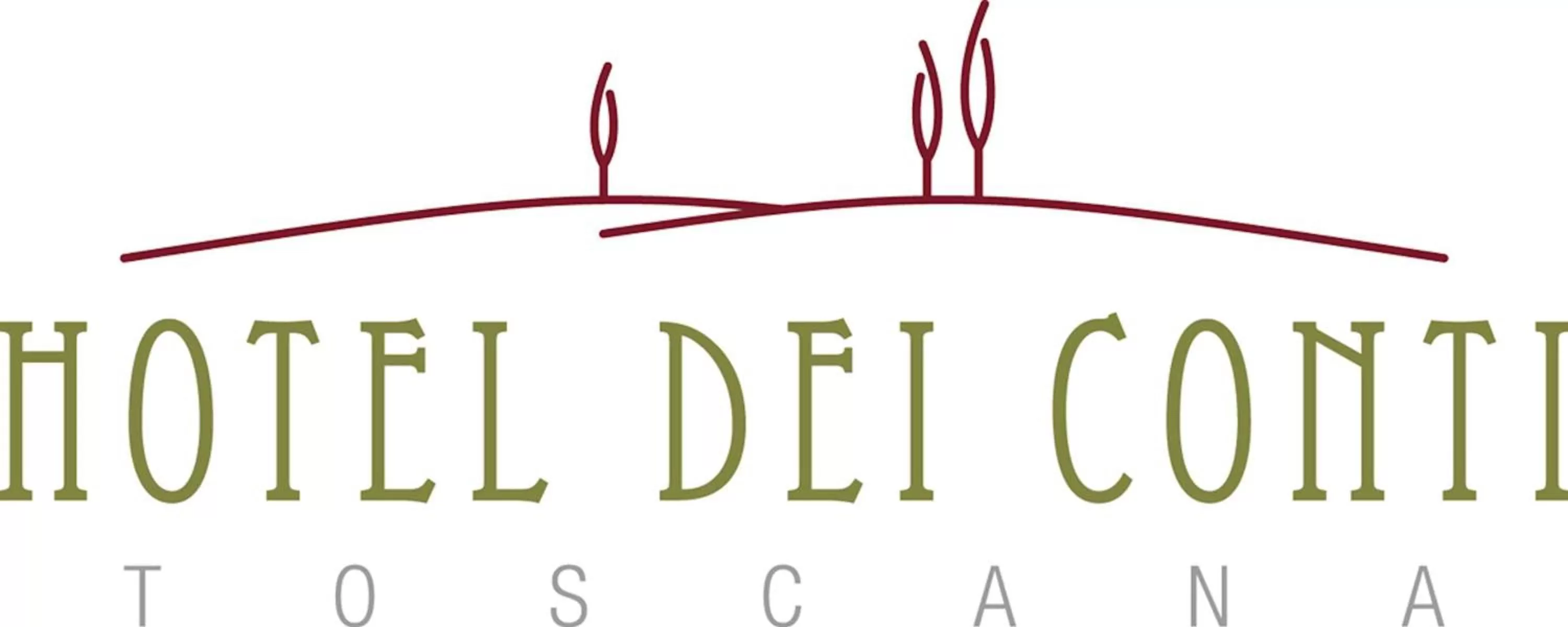 Property logo or sign in Hotel Dei Conti