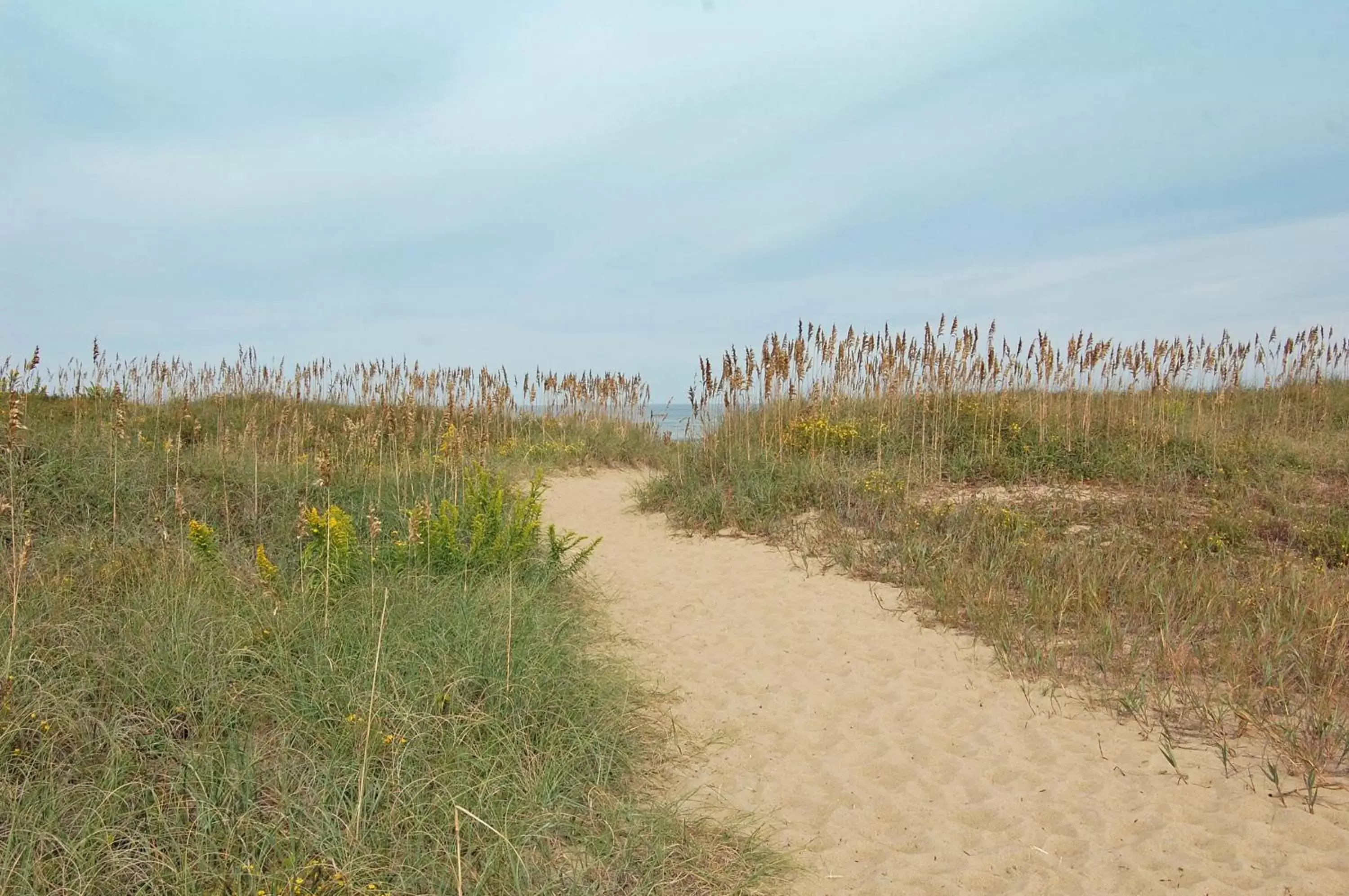 Natural landscape in Days Inn by Wyndham Kill Devil Hills Oceanfront - Wilbur