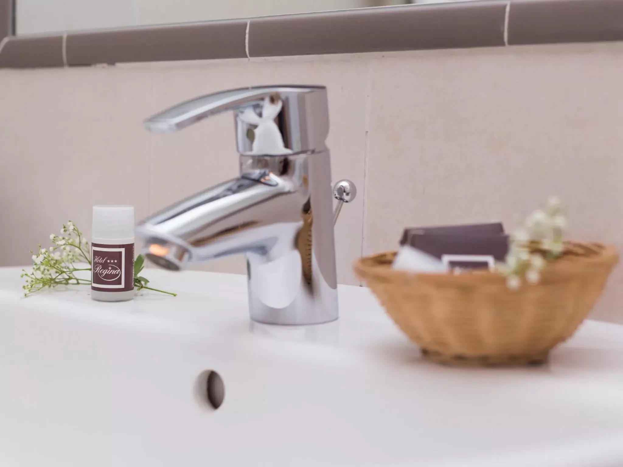 Bathroom, Coffee/Tea Facilities in Hotel Regina