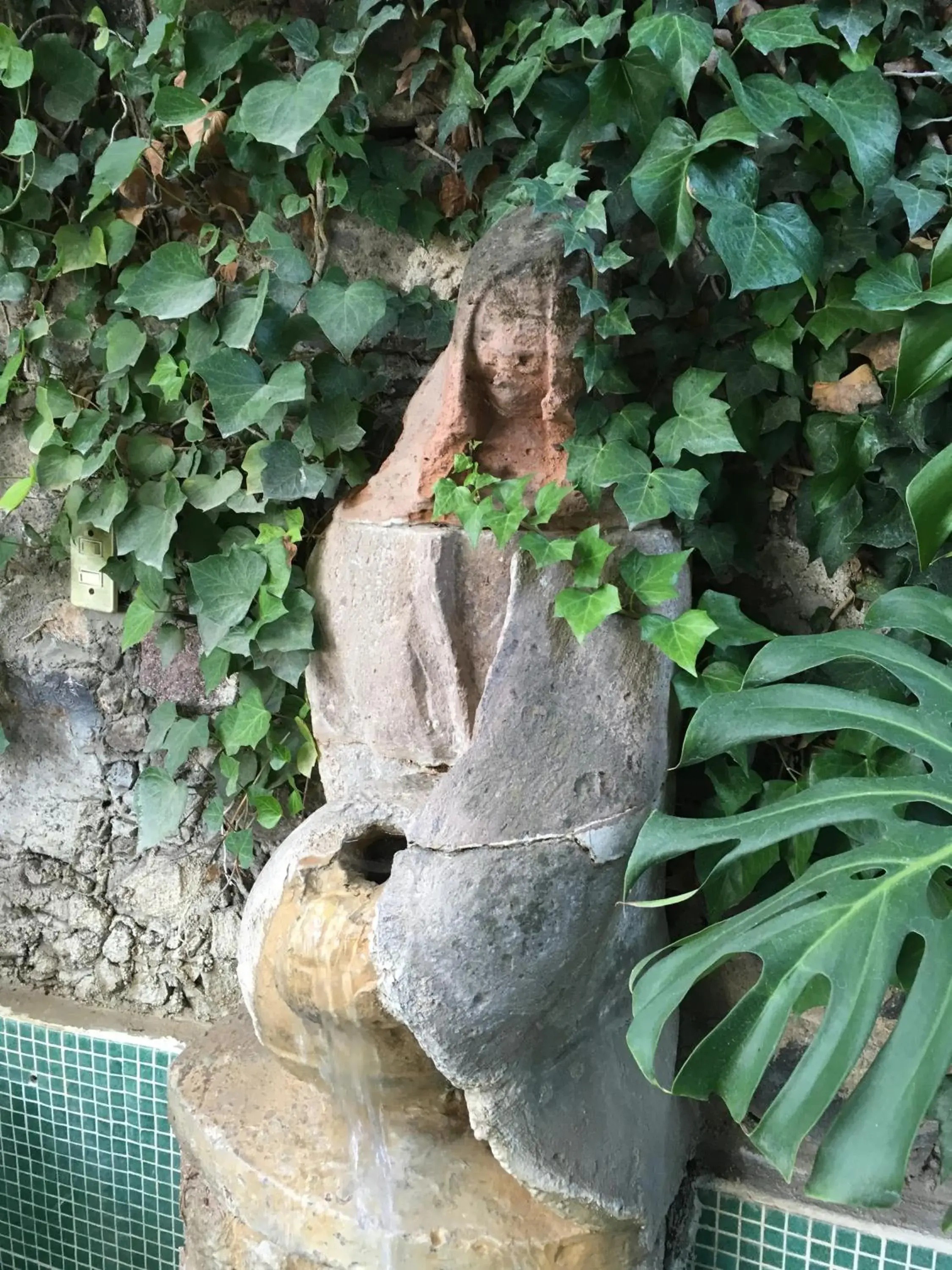 Garden, Natural Landscape in Rancho Hotel Atascadero