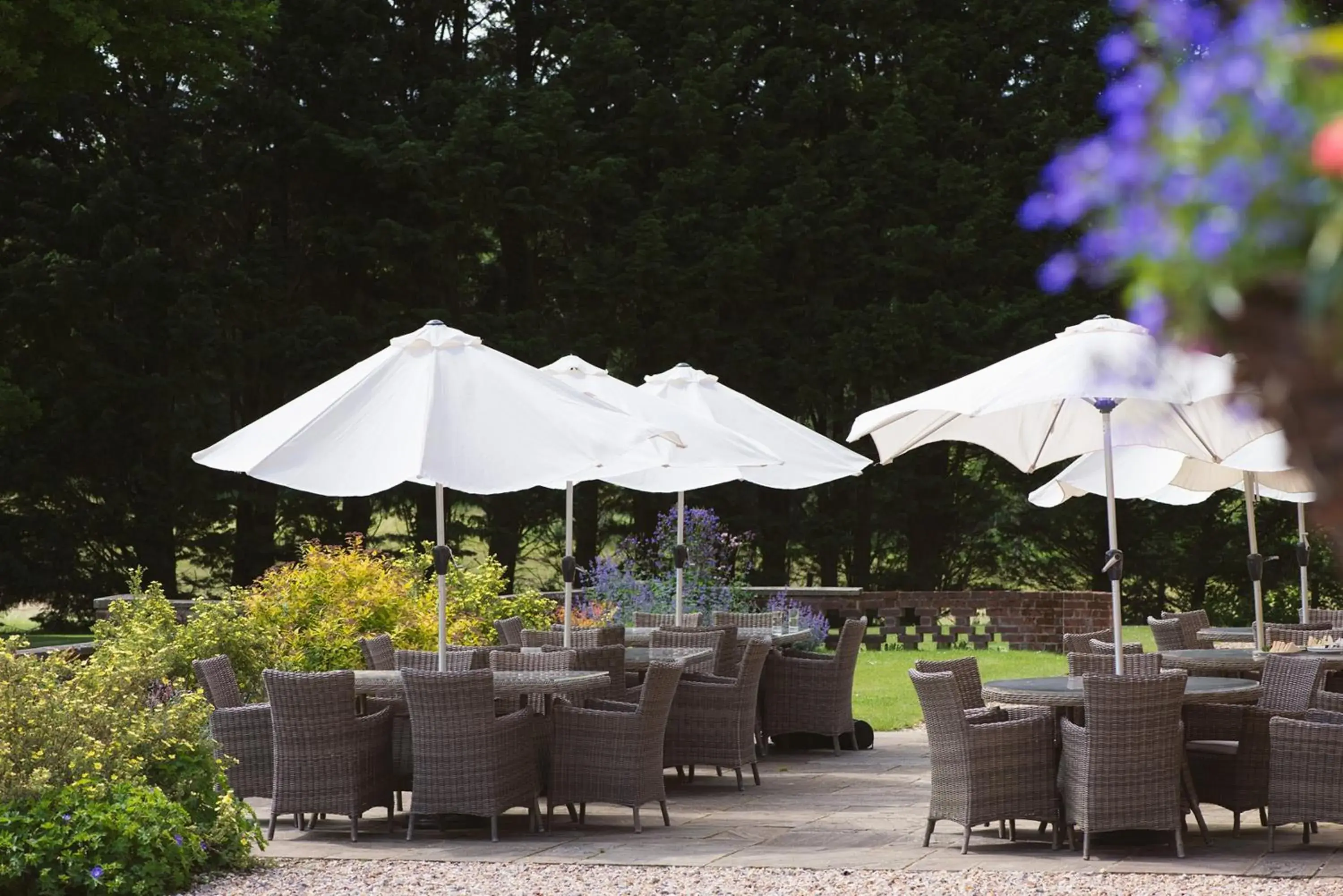 Garden, Restaurant/Places to Eat in Bartley Lodge Hotel