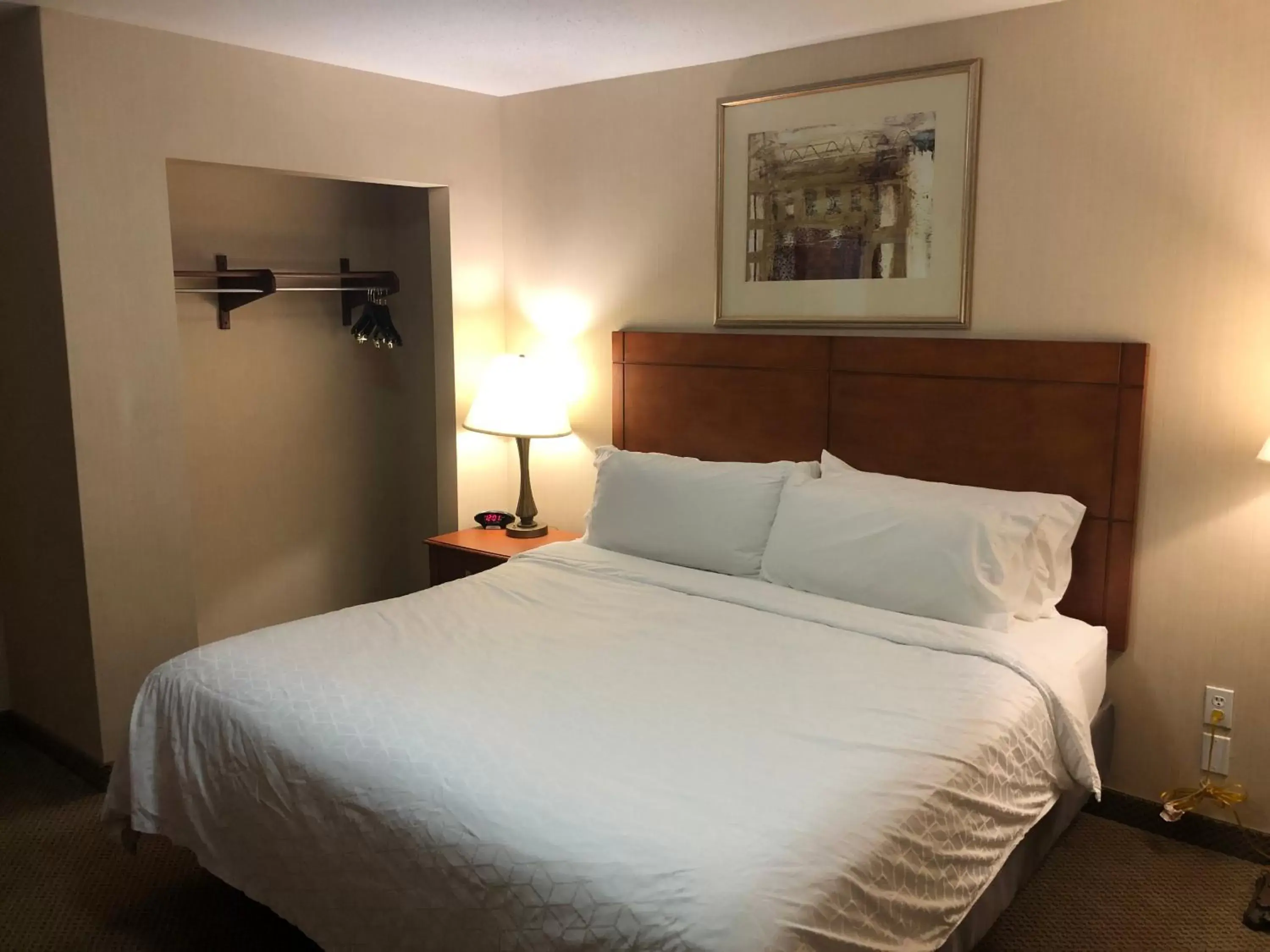Bed in Holiday Inn Express Hotel & Suites Lansing-Dimondale, an IHG Hotel