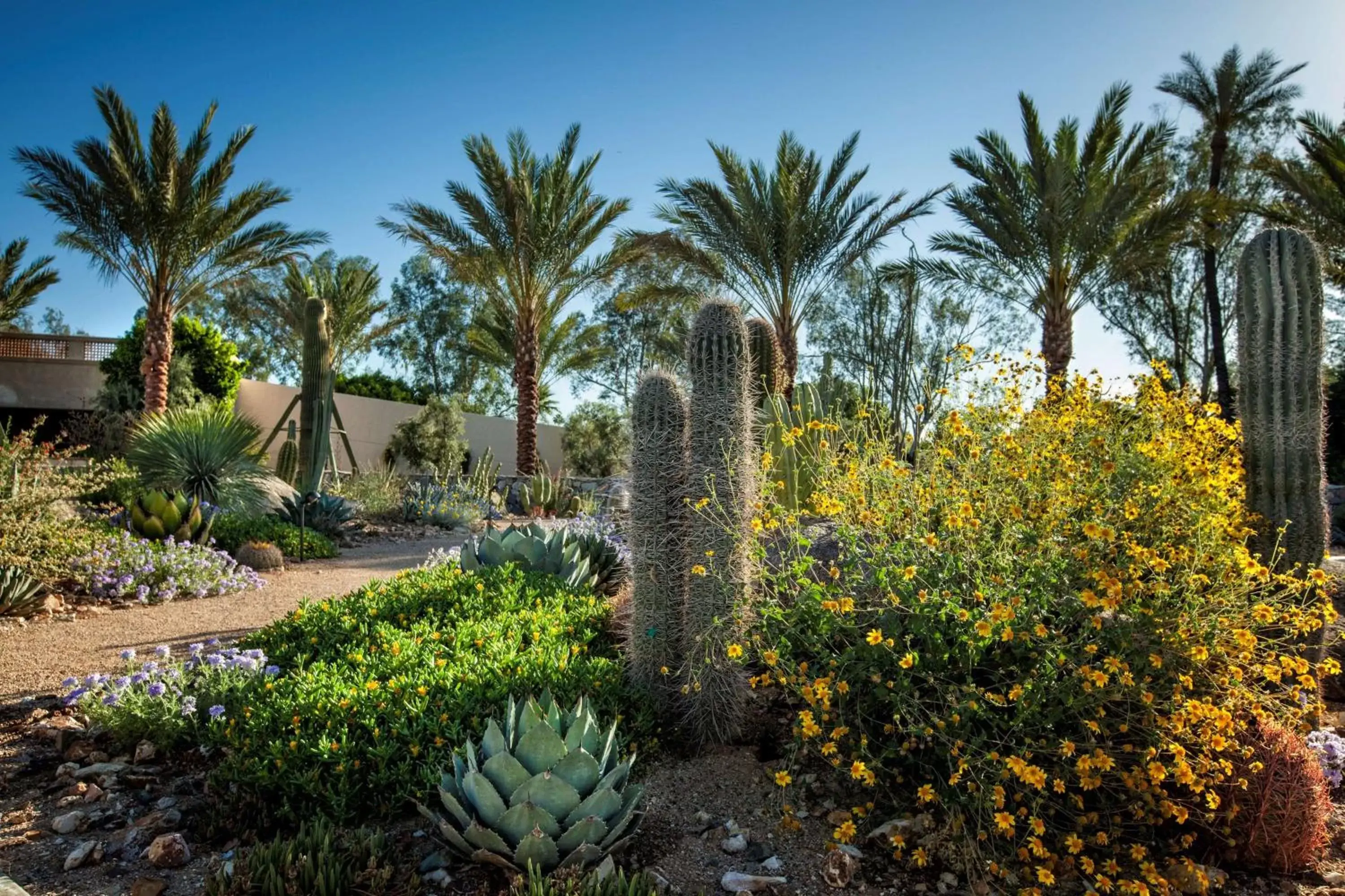 Property building, Garden in The Scottsdale Resort at McCormick Ranch
