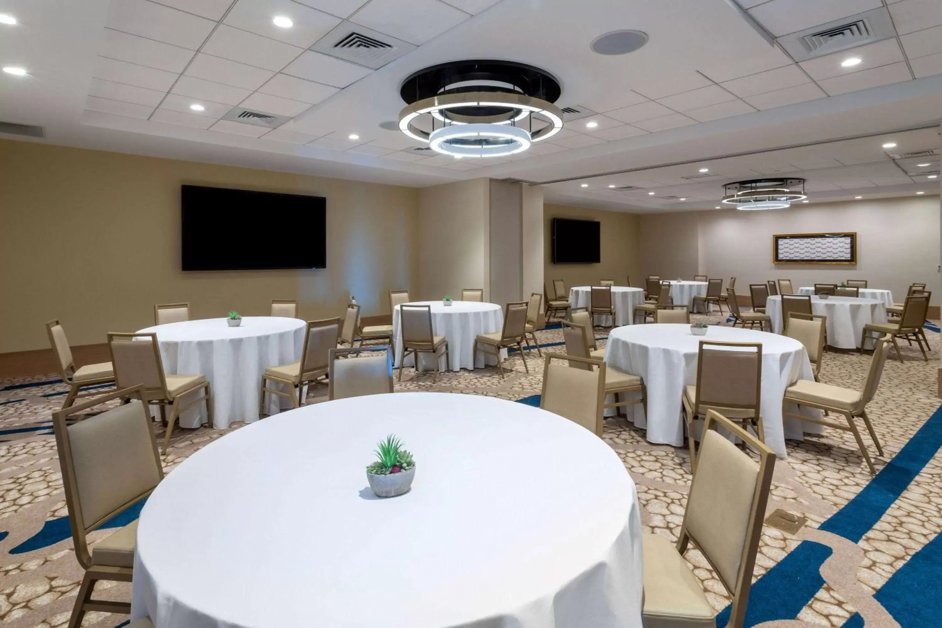 Banquet/Function facilities, Restaurant/Places to Eat in Wyndham Grand Clearwater Beach