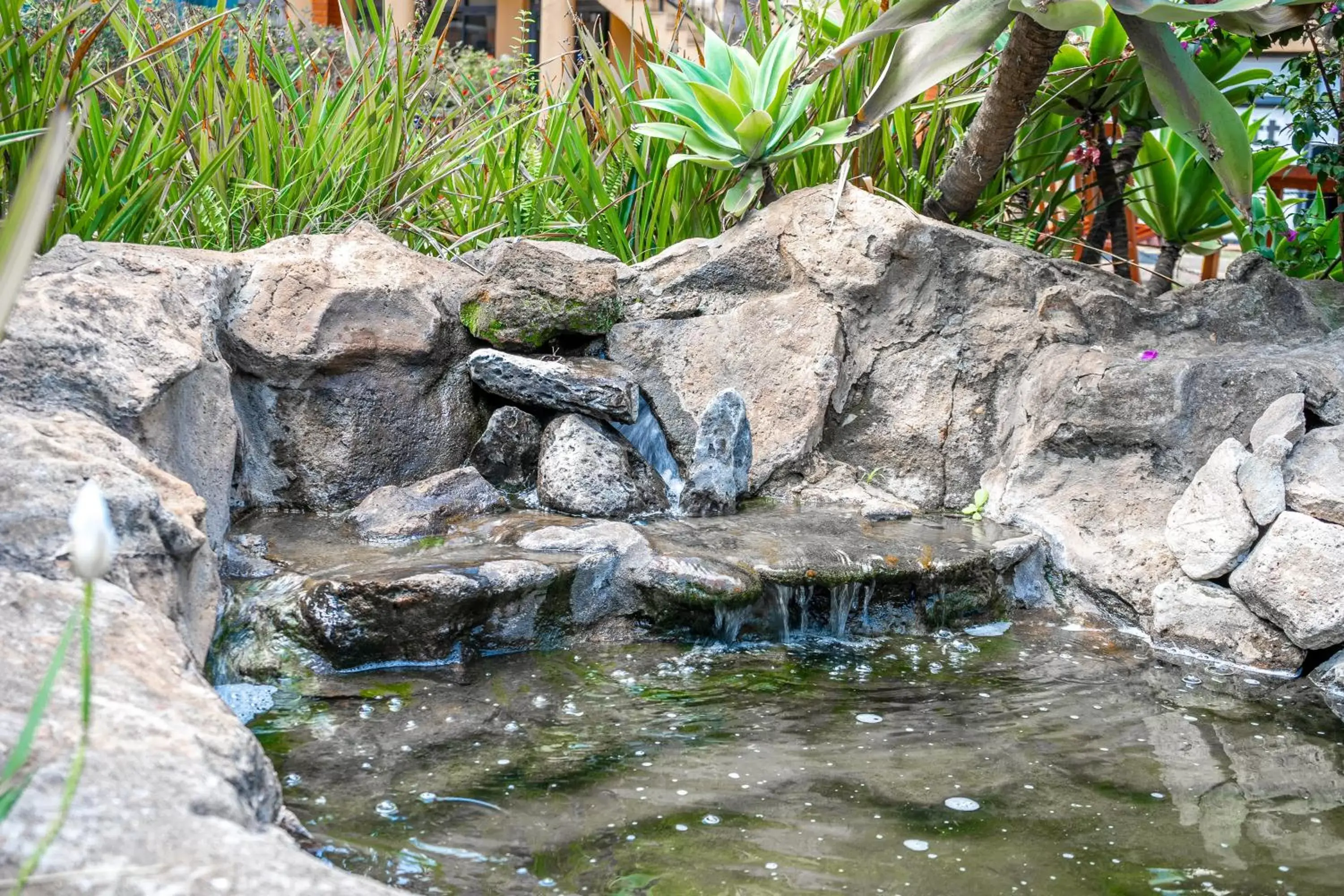 Spring, Natural Landscape in Boma Inn Nairobi