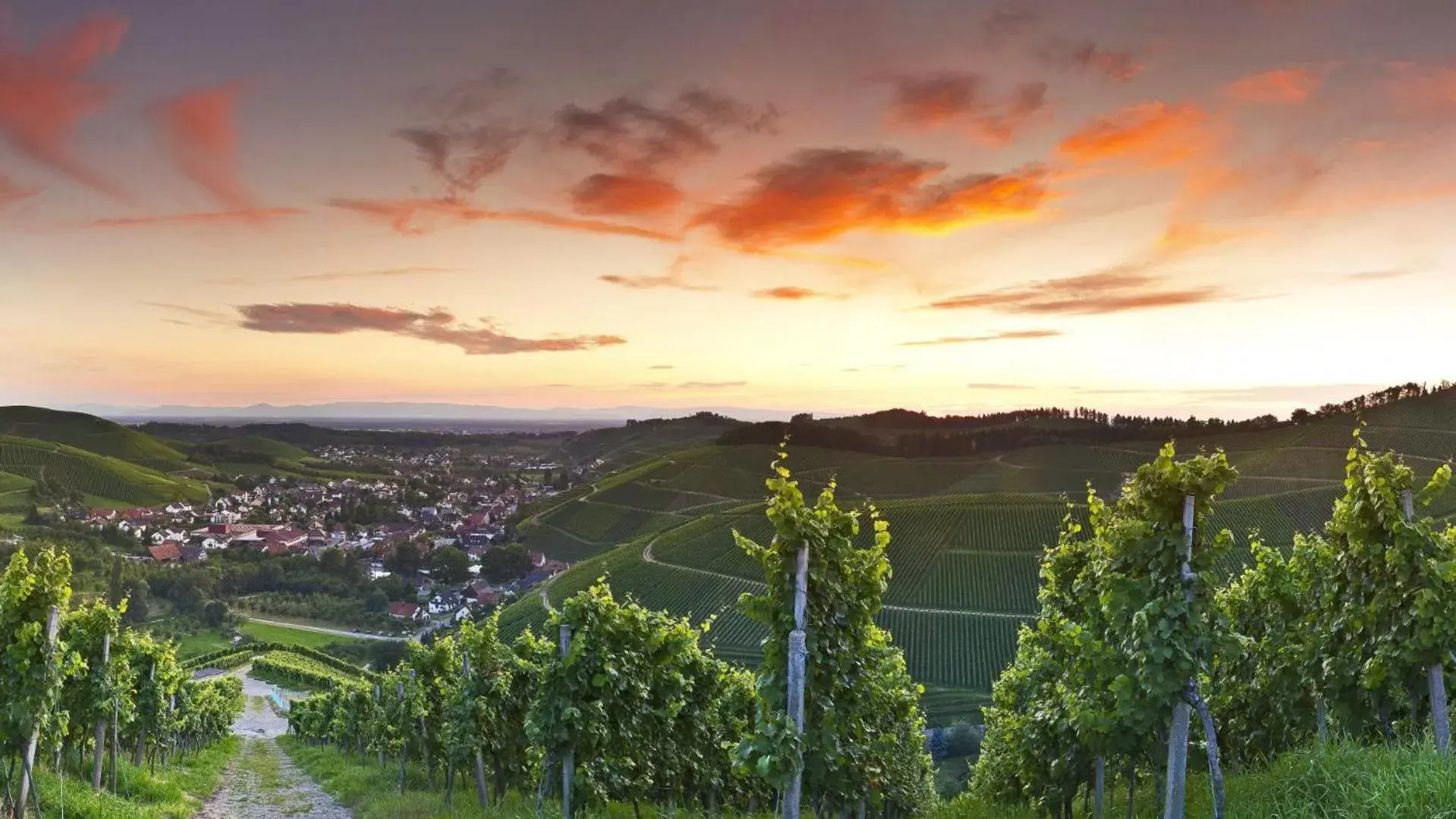 Mountain view in Hotel Ritter Durbach