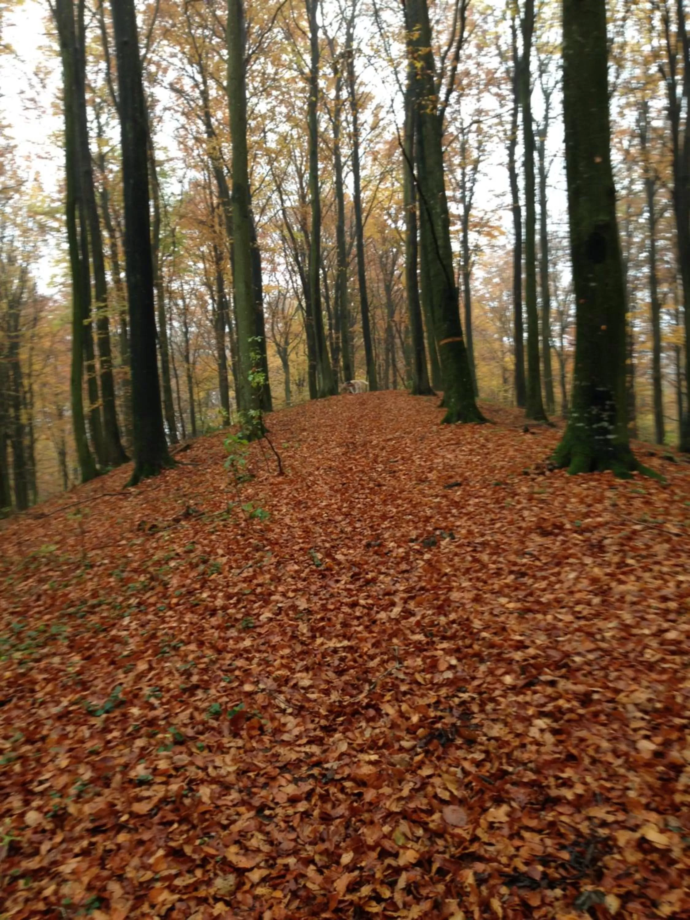 Nearby landmark in Tryde 1303 B&B på Österlen