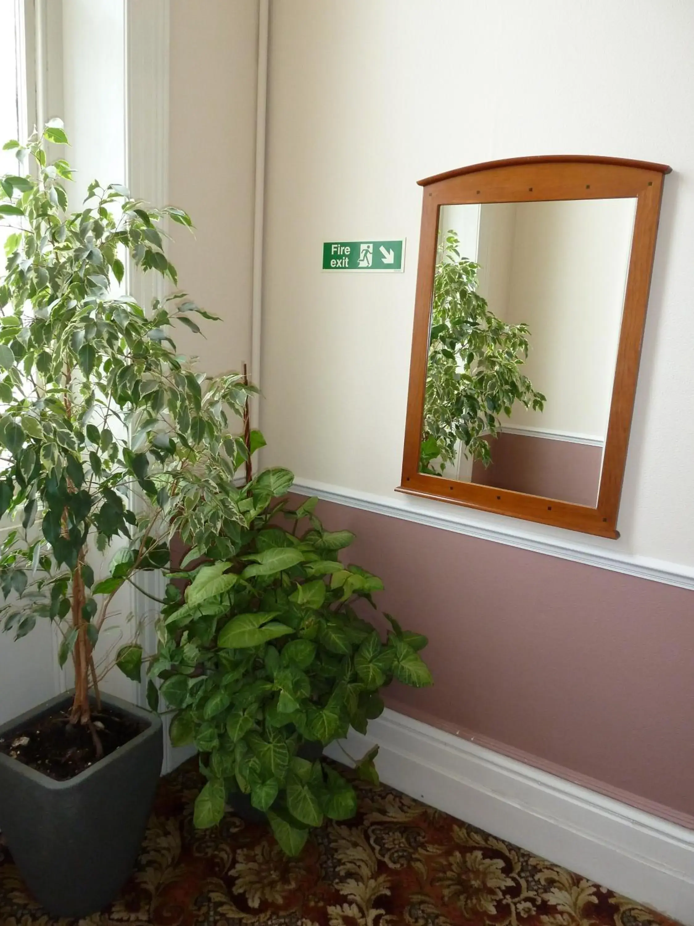 Lobby or reception in Tregonholme Hotel