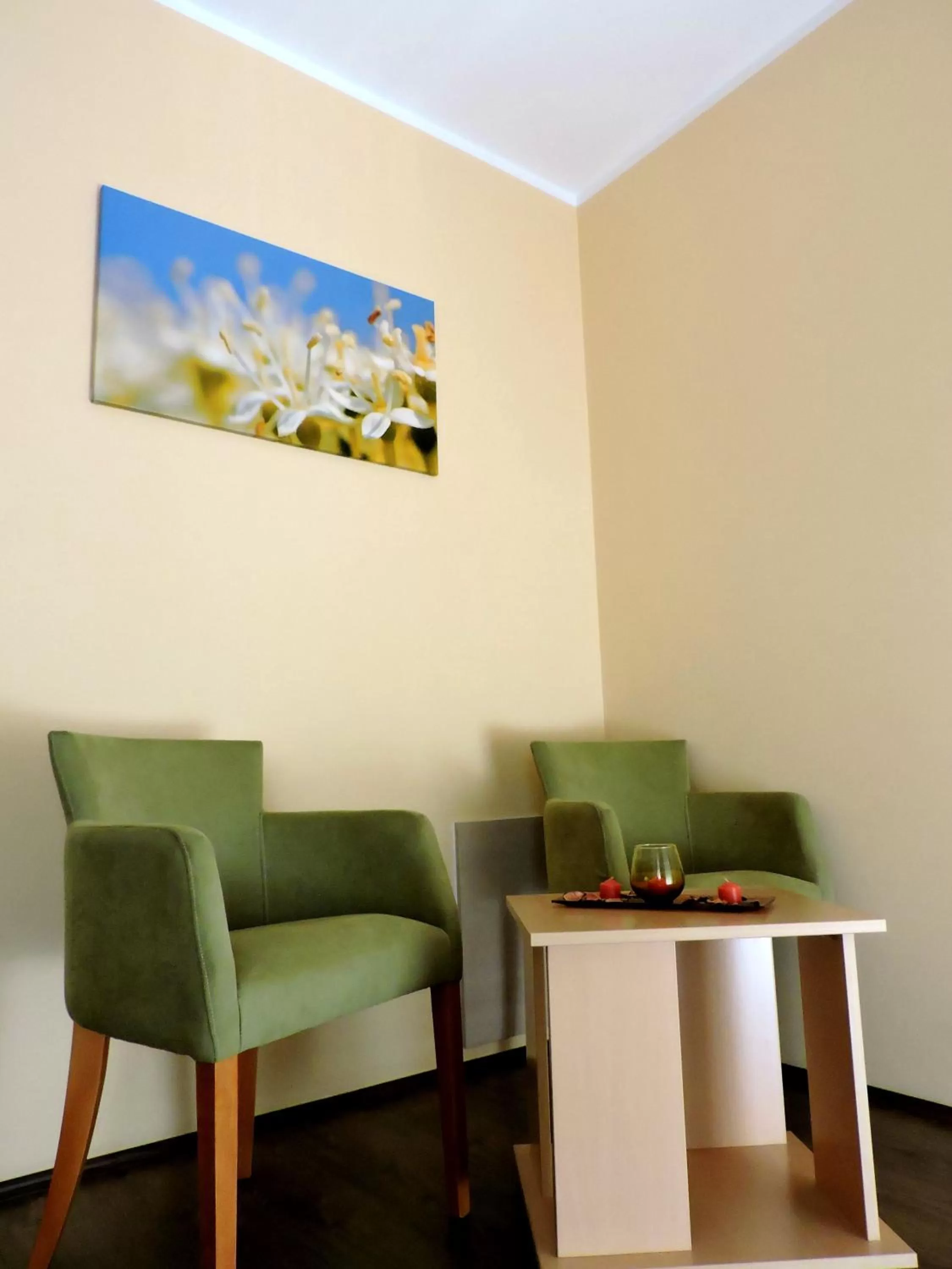 Seating area in B&B Zmajevo Gnezdo 021