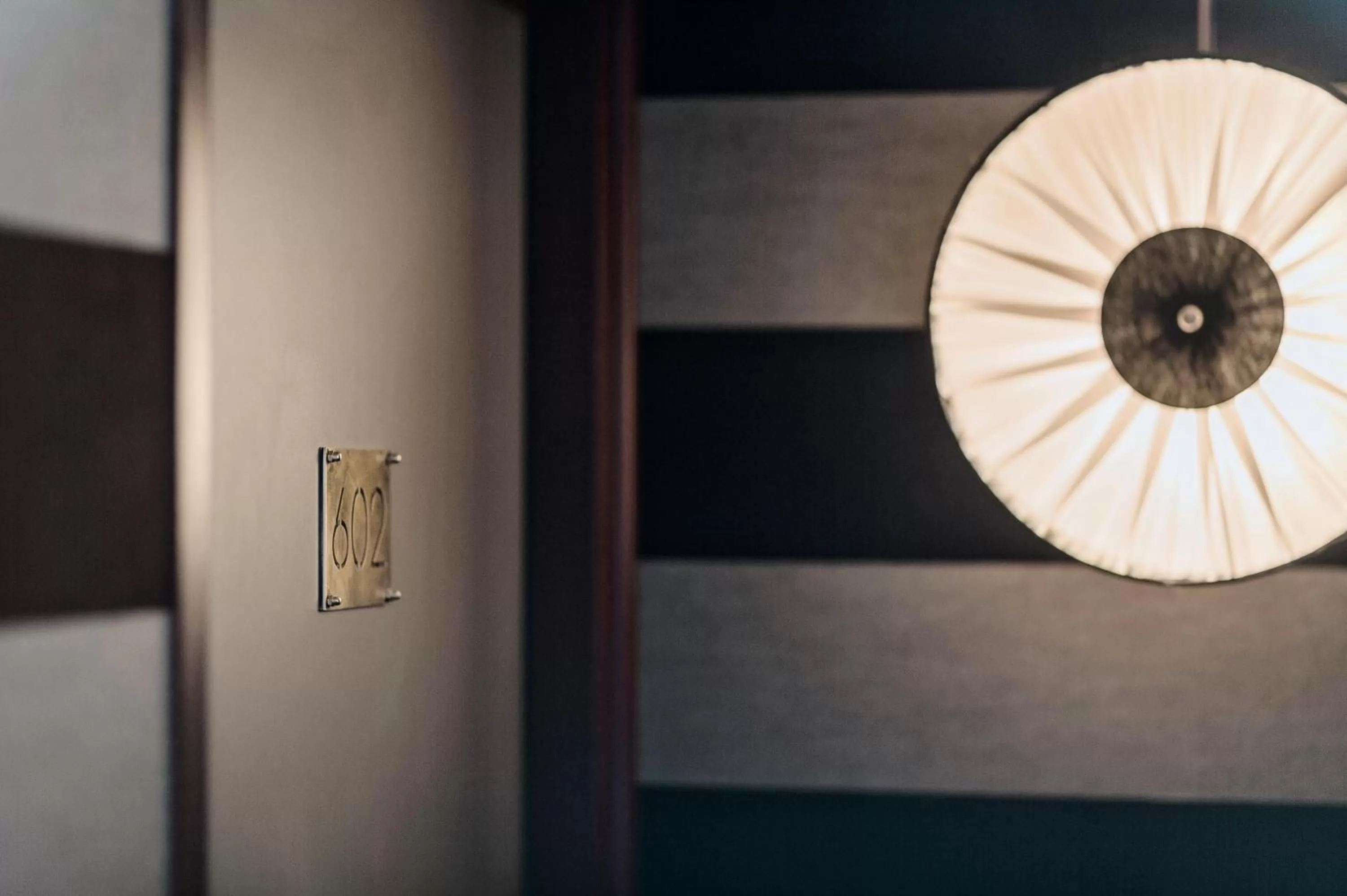 Area and facilities in Handsome Hotel