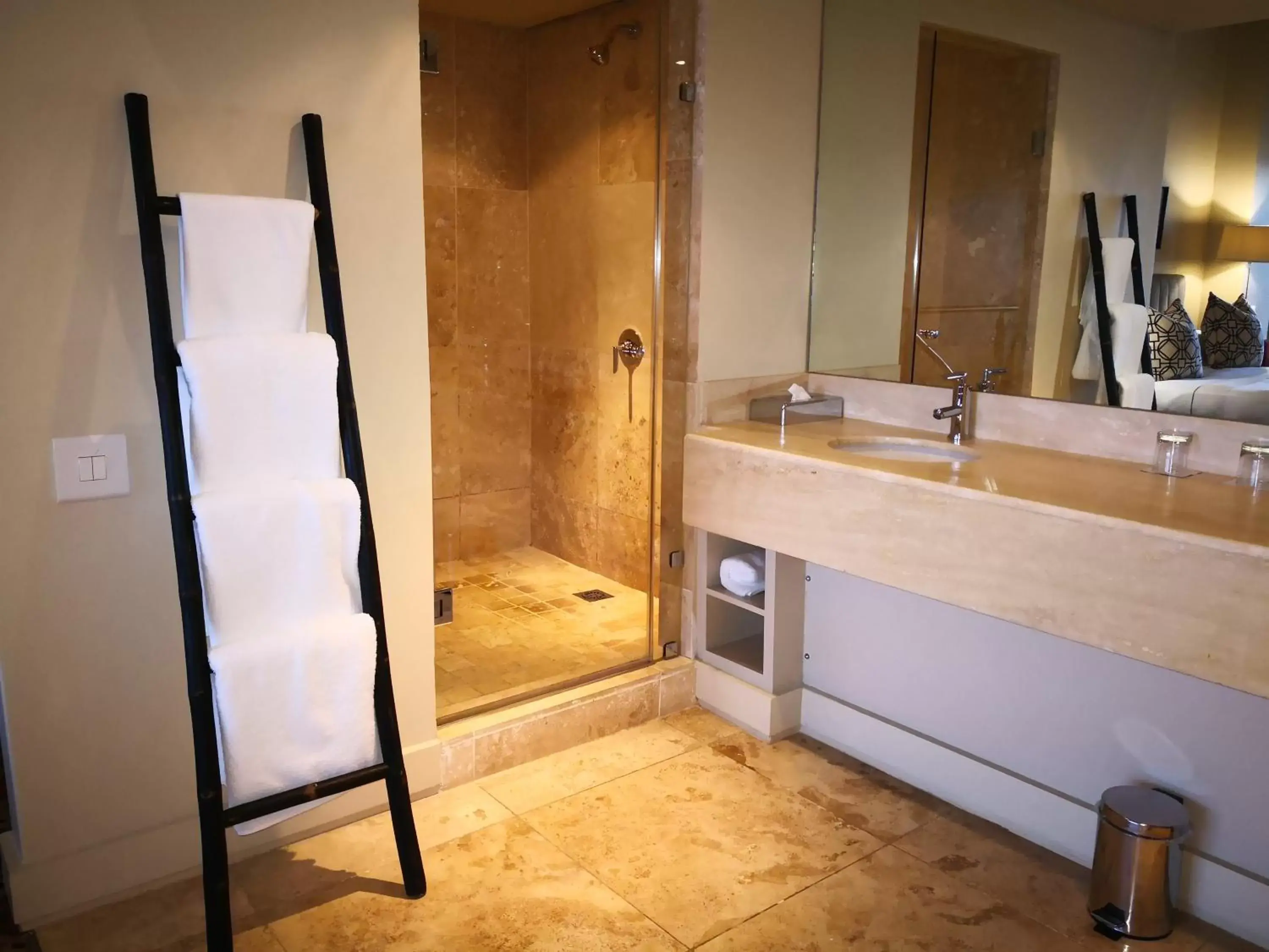 Shower, Bathroom in Royal Palm Hotel
