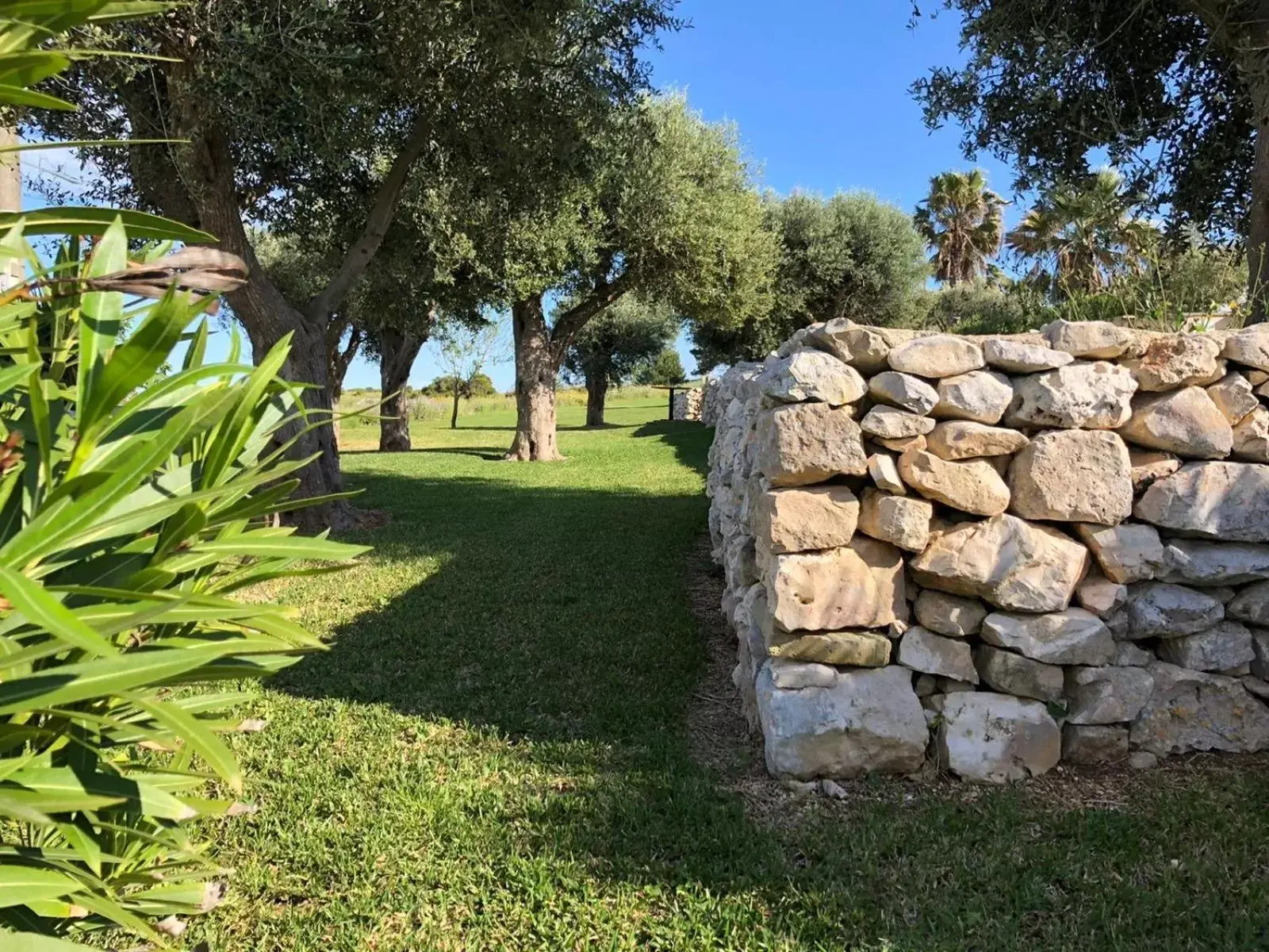 Garden in Masseria dei Monaci