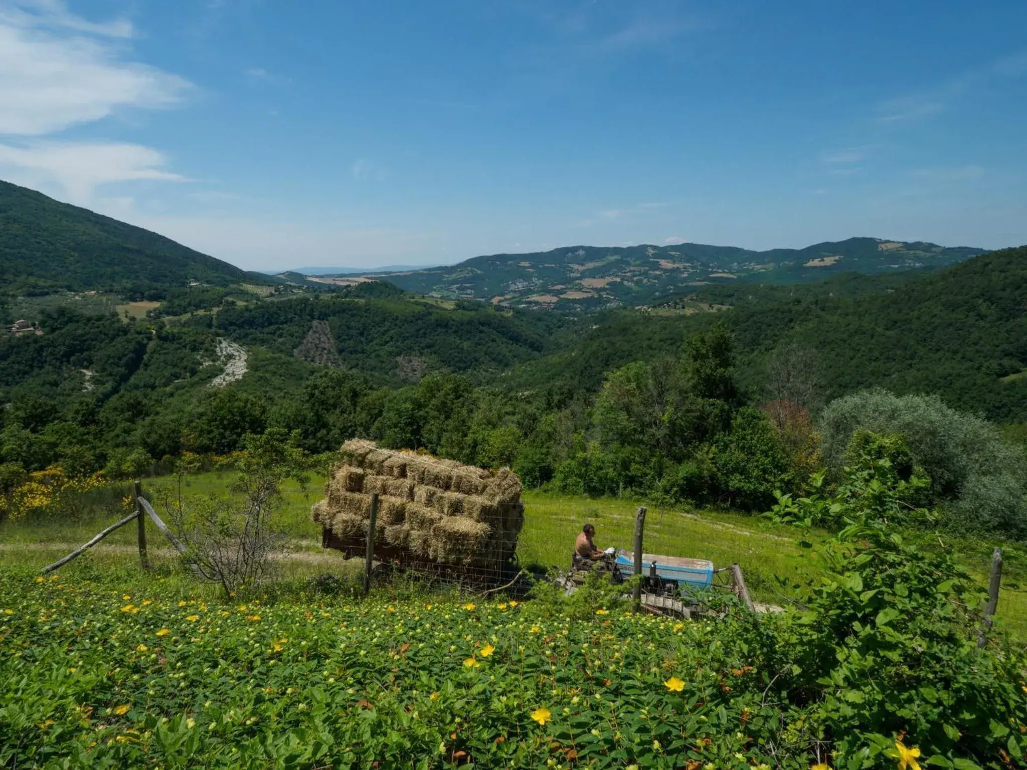 Activities, Natural Landscape in Le Silve di Armenzano