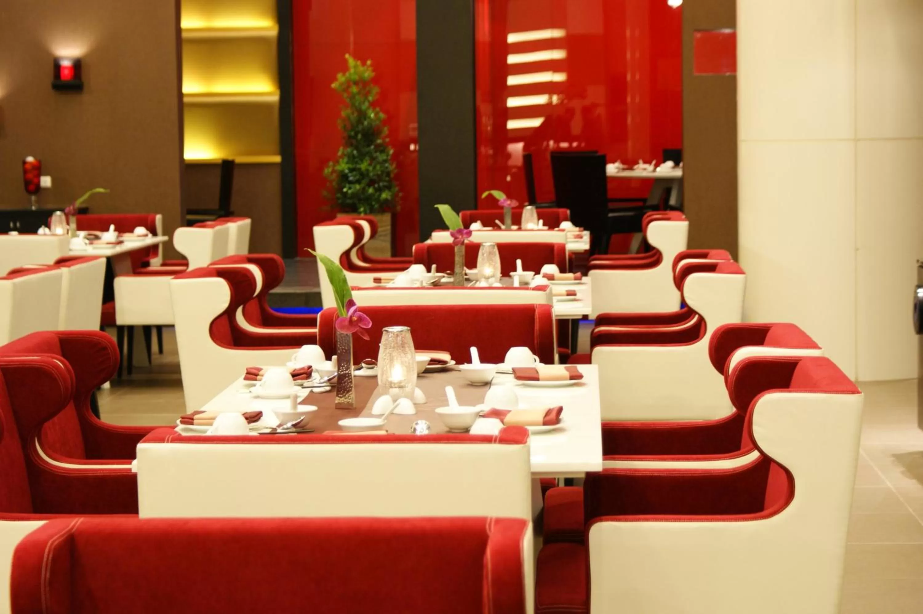 Restaurant/places to eat in The Zign Hotel